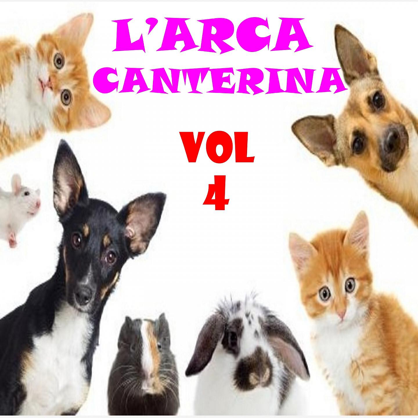 Duck Gang - La mosca