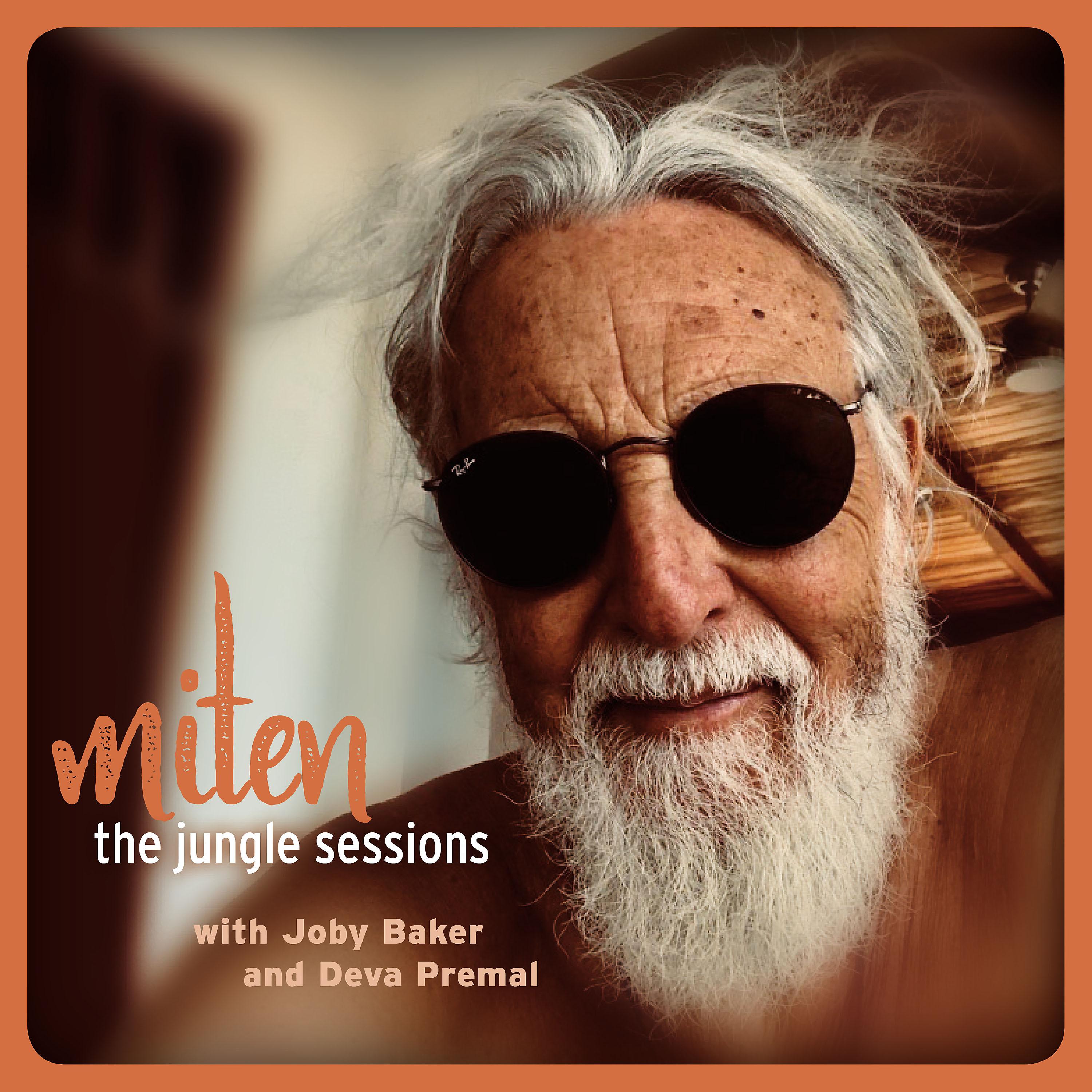 Постер альбома The Jungle Sessions