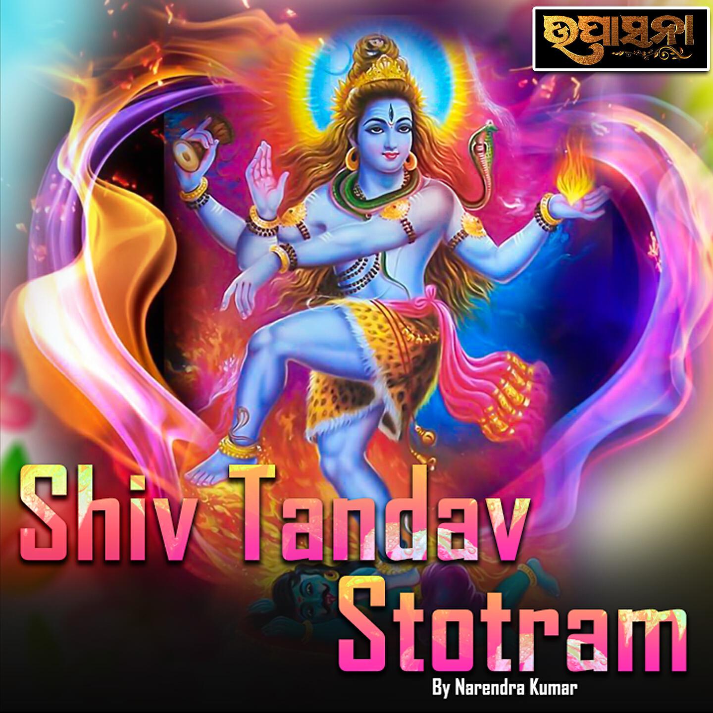 Narendra Kumar - Shiv Tandav Stotram