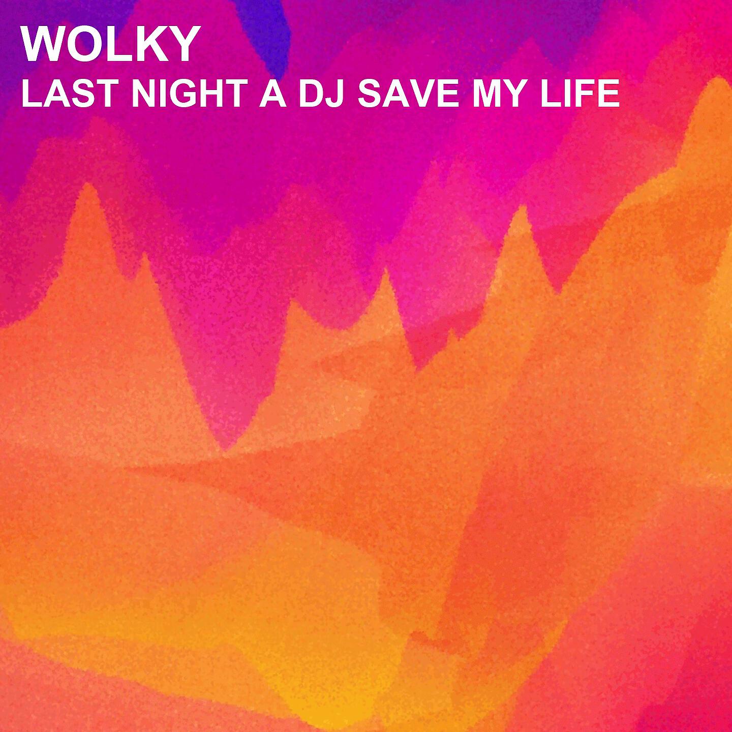Wolky - Last Night a Dj Save My Life (House Mix)