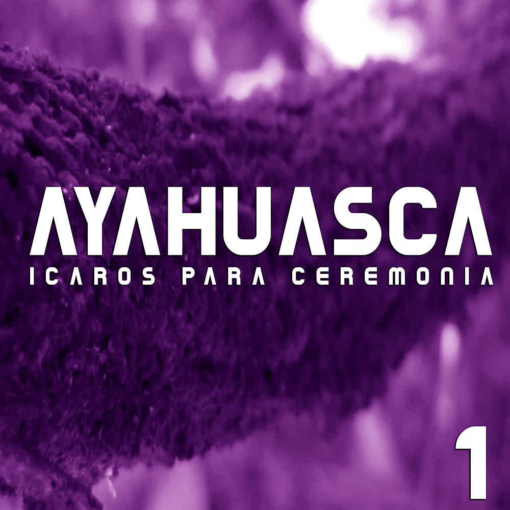 Постер альбома Icaros para Ceremonia (Vol. 1)