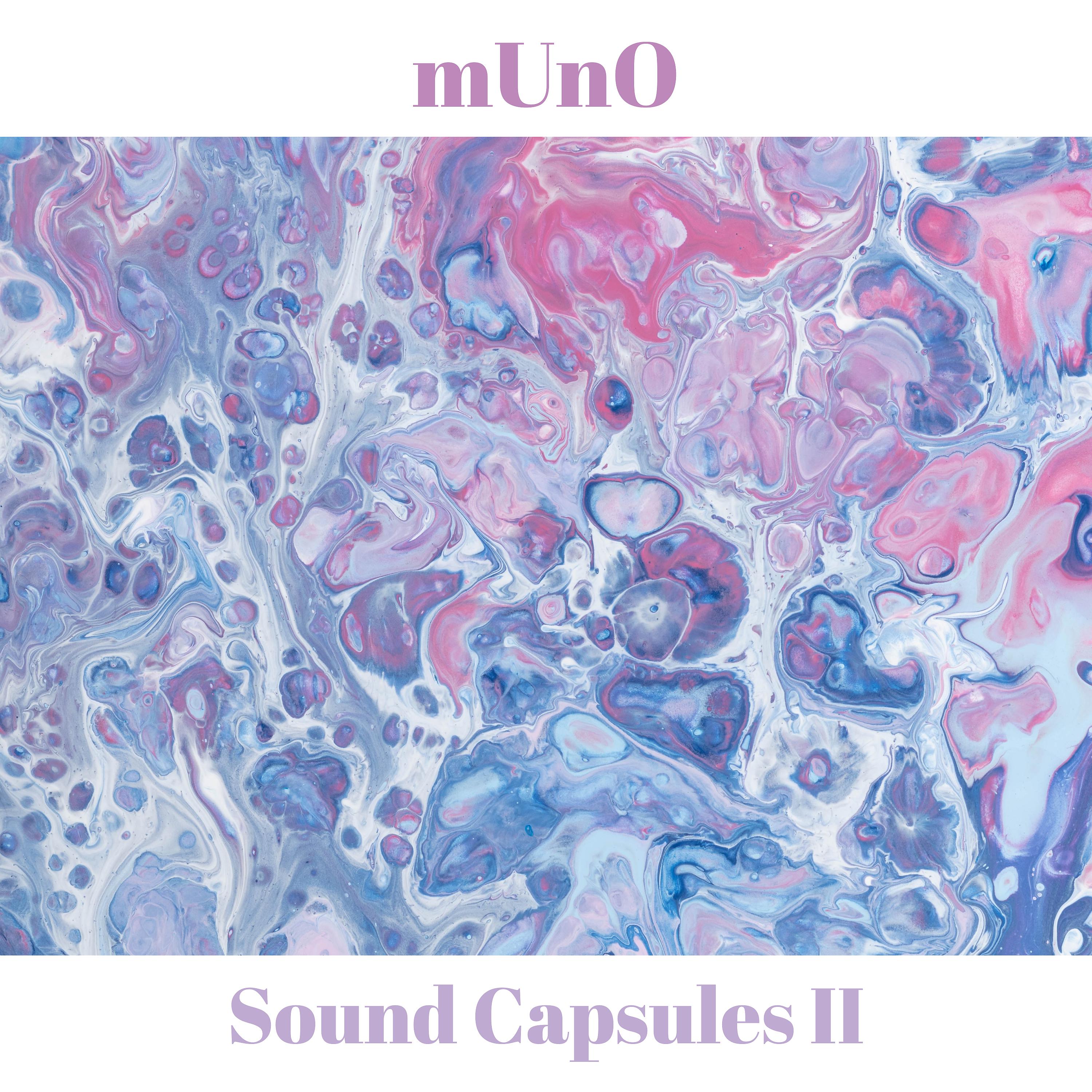 Постер альбома Sound Capsules II