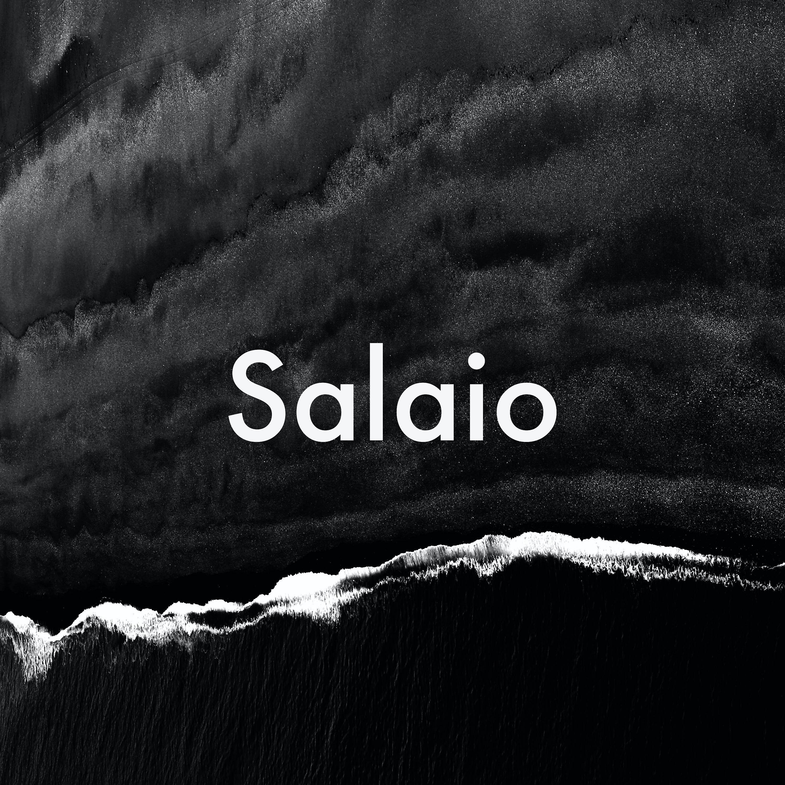 Постер альбома Salaio
