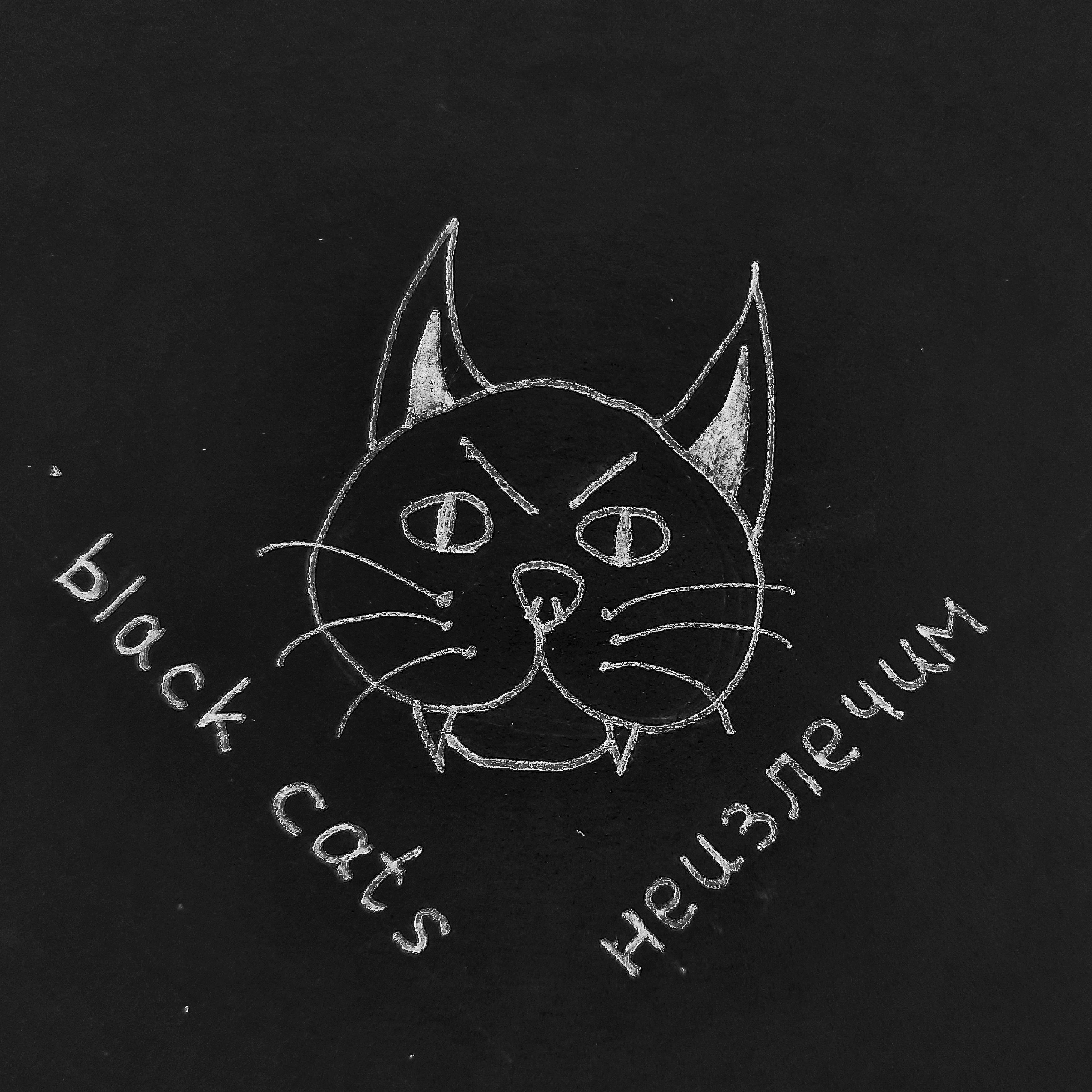 Постер альбома Black Cats