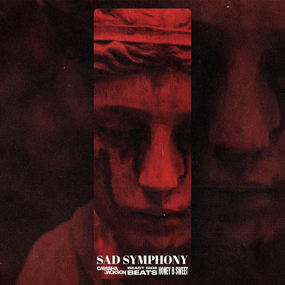 Постер альбома Sad Symphony
