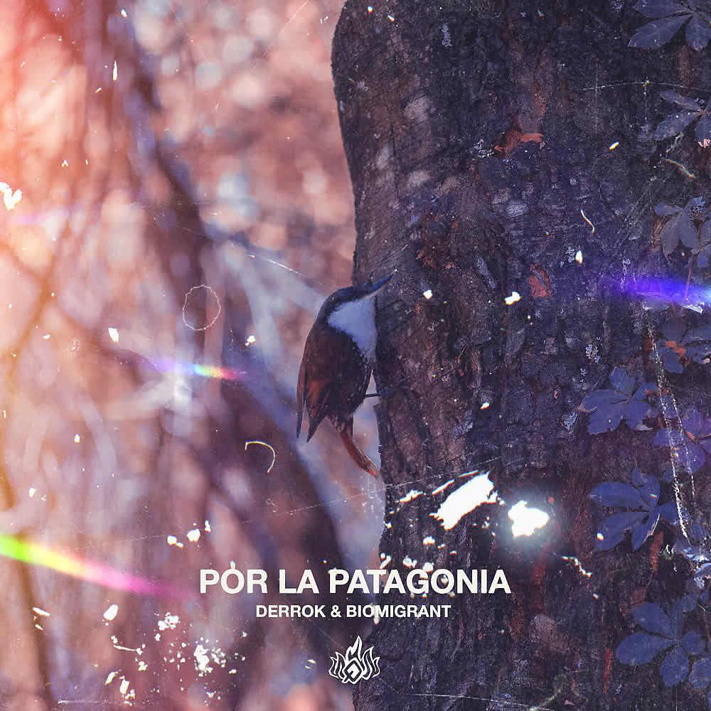 Постер альбома Por la Patagonia