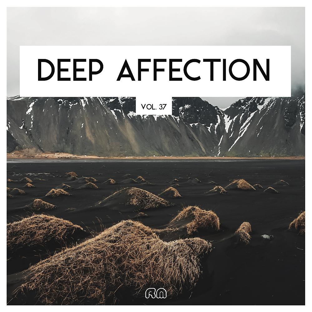 Постер альбома Deep Affection Vol. 37