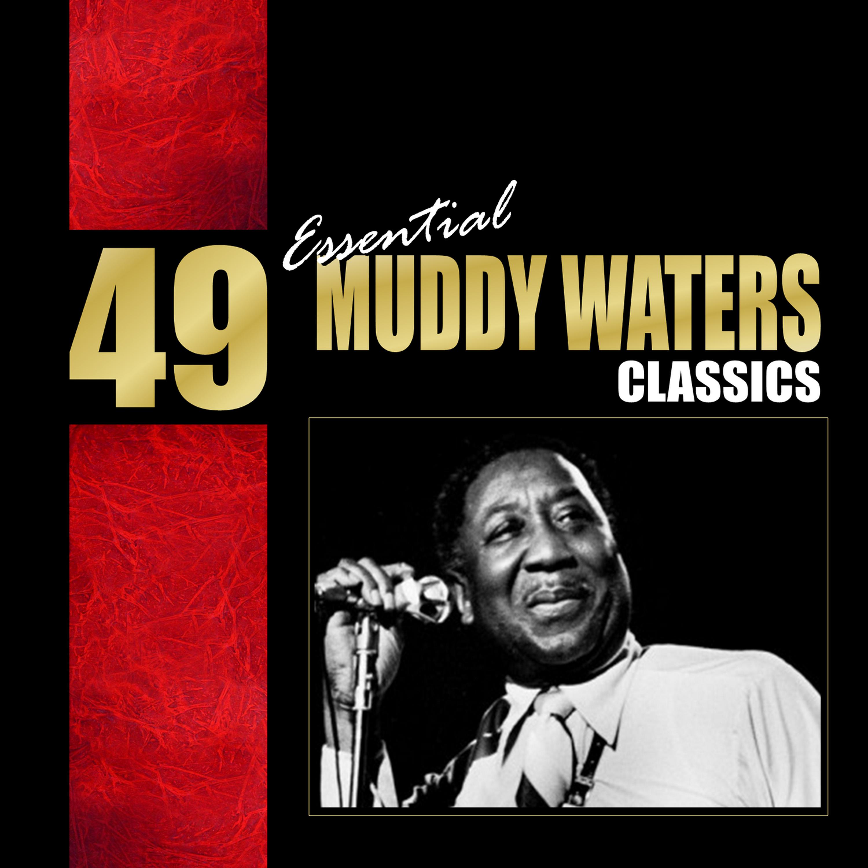Постер альбома 49 Essential Muddy Waters Classics