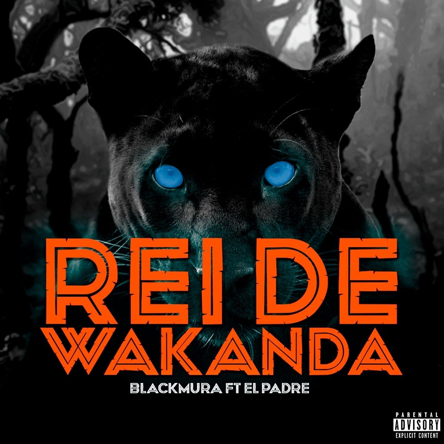 Постер альбома Rei de Wakanda