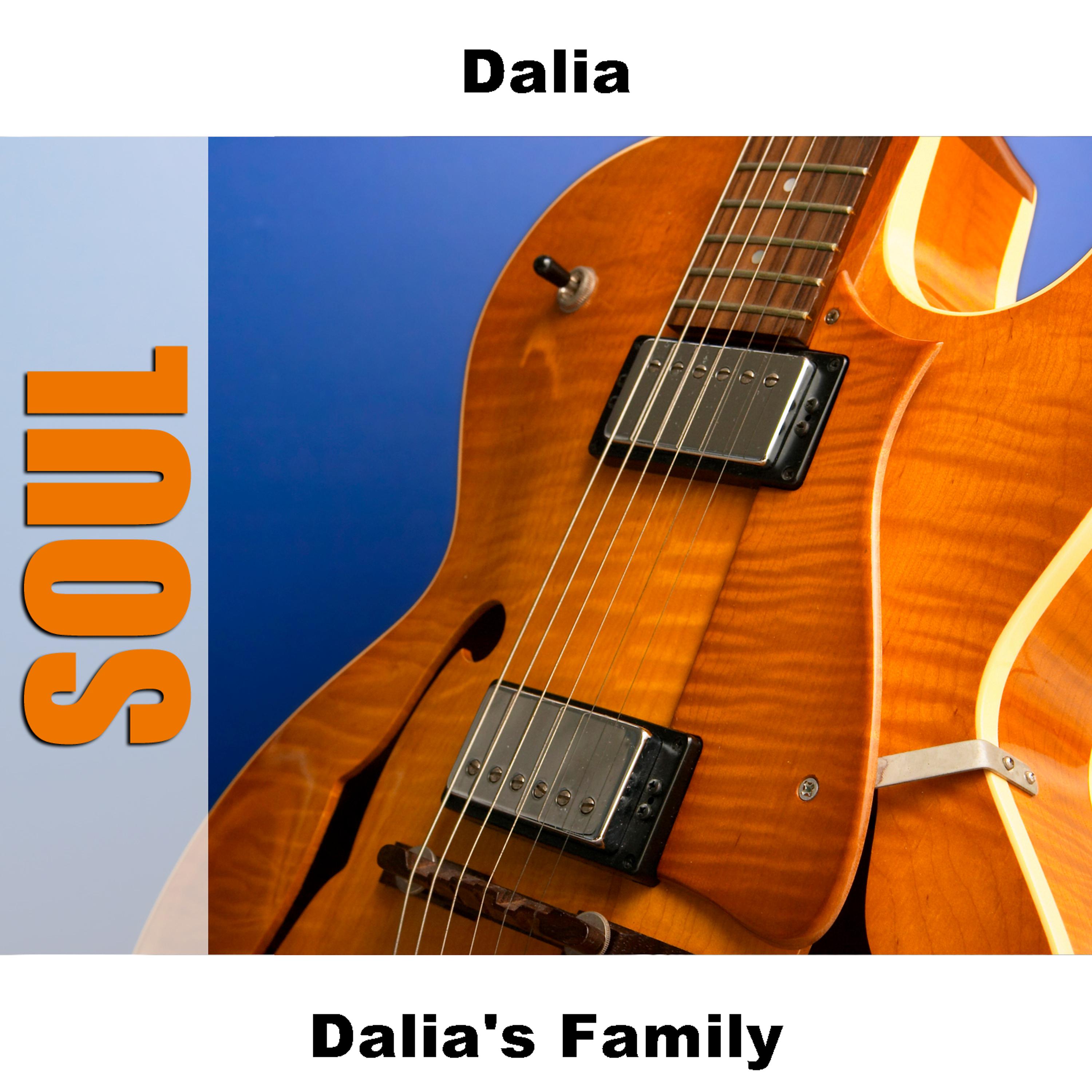 Постер альбома Dalia's Family