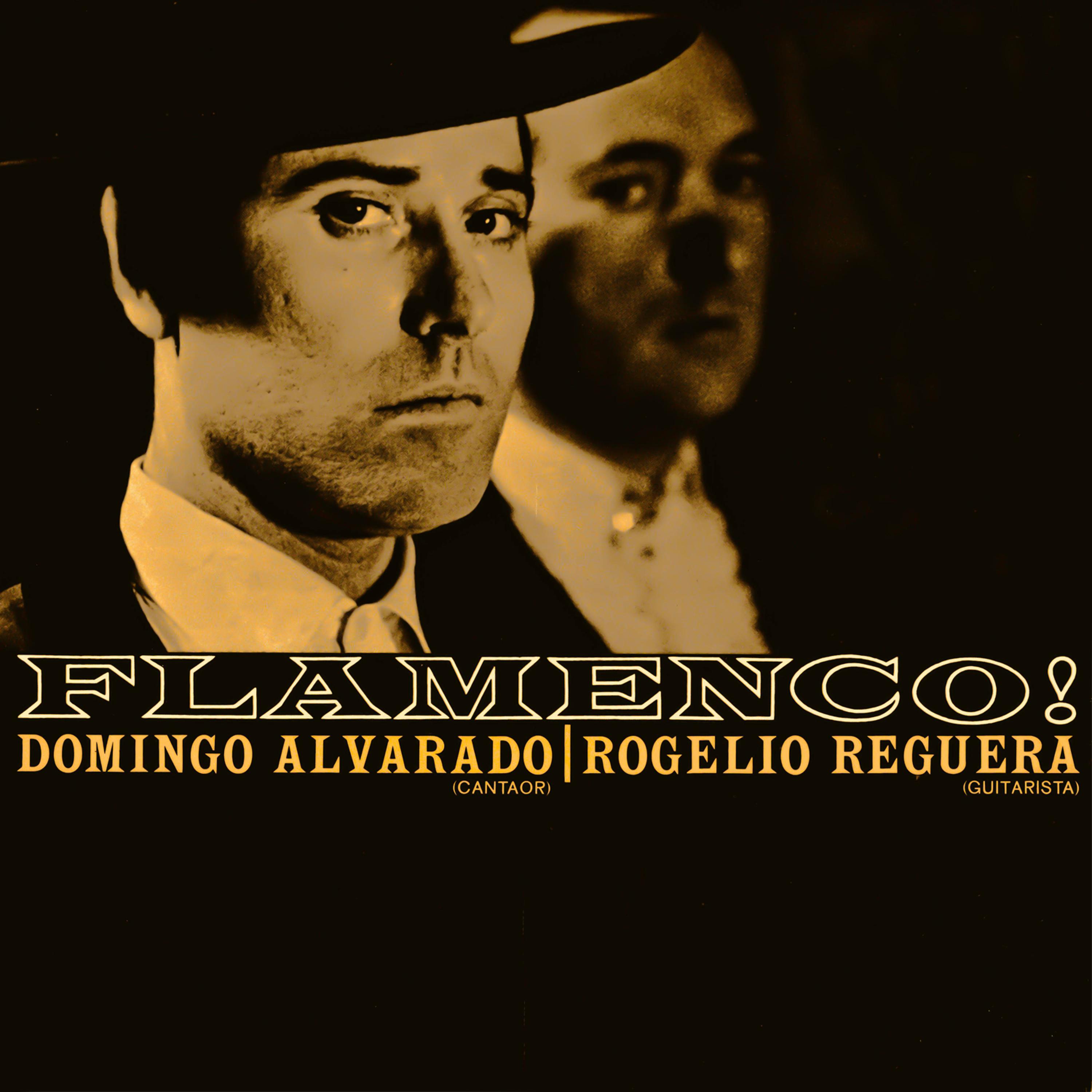 Постер альбома Flamenco!
