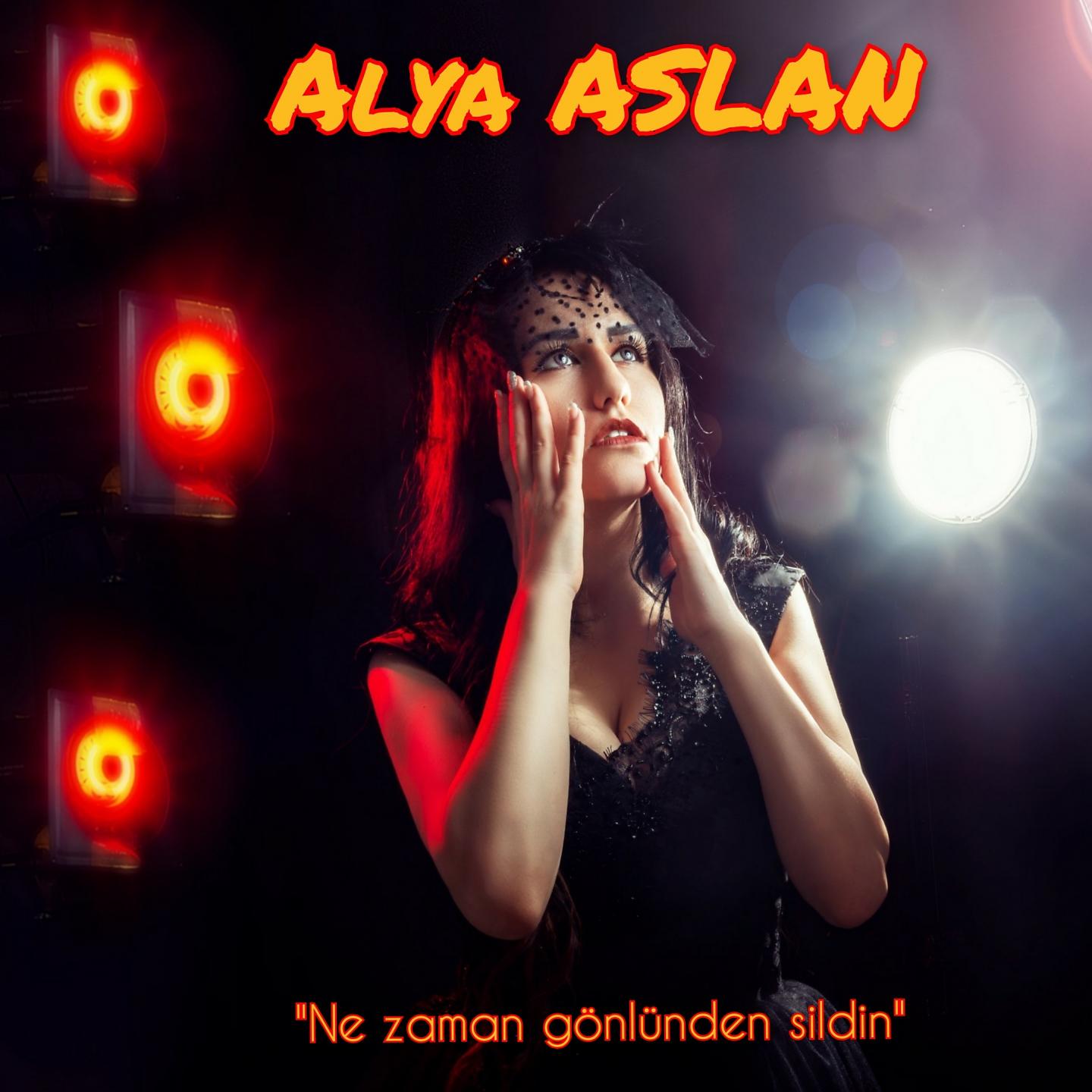 Постер альбома Ne Zaman Gönlünden Sildin