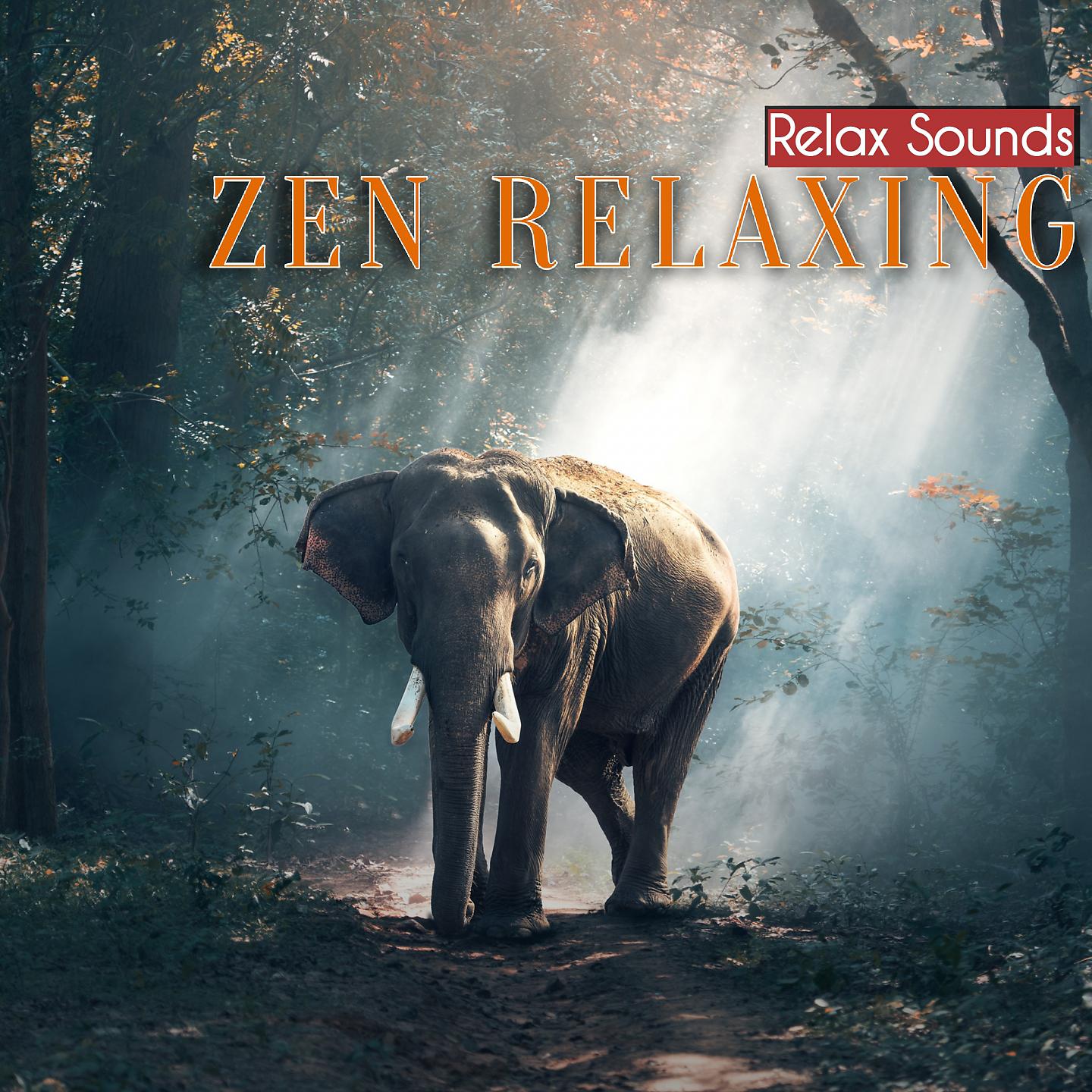 Постер альбома Zen Relaxing