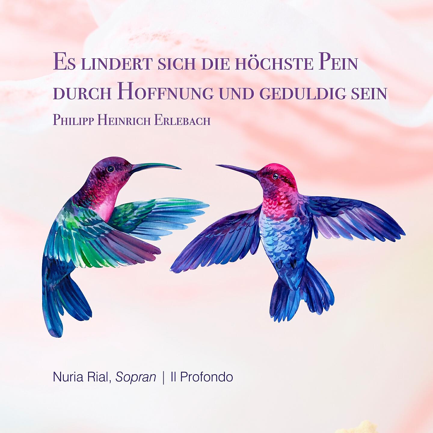 Il Profondo - Es lindert sich die höchste Pein durch Hoffnung und geduldig sein