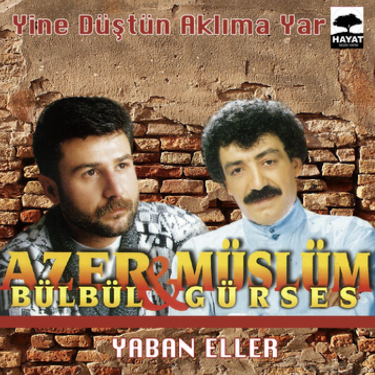 Постер альбома Yine Düştün Aklıma Yar / Yaban Eller