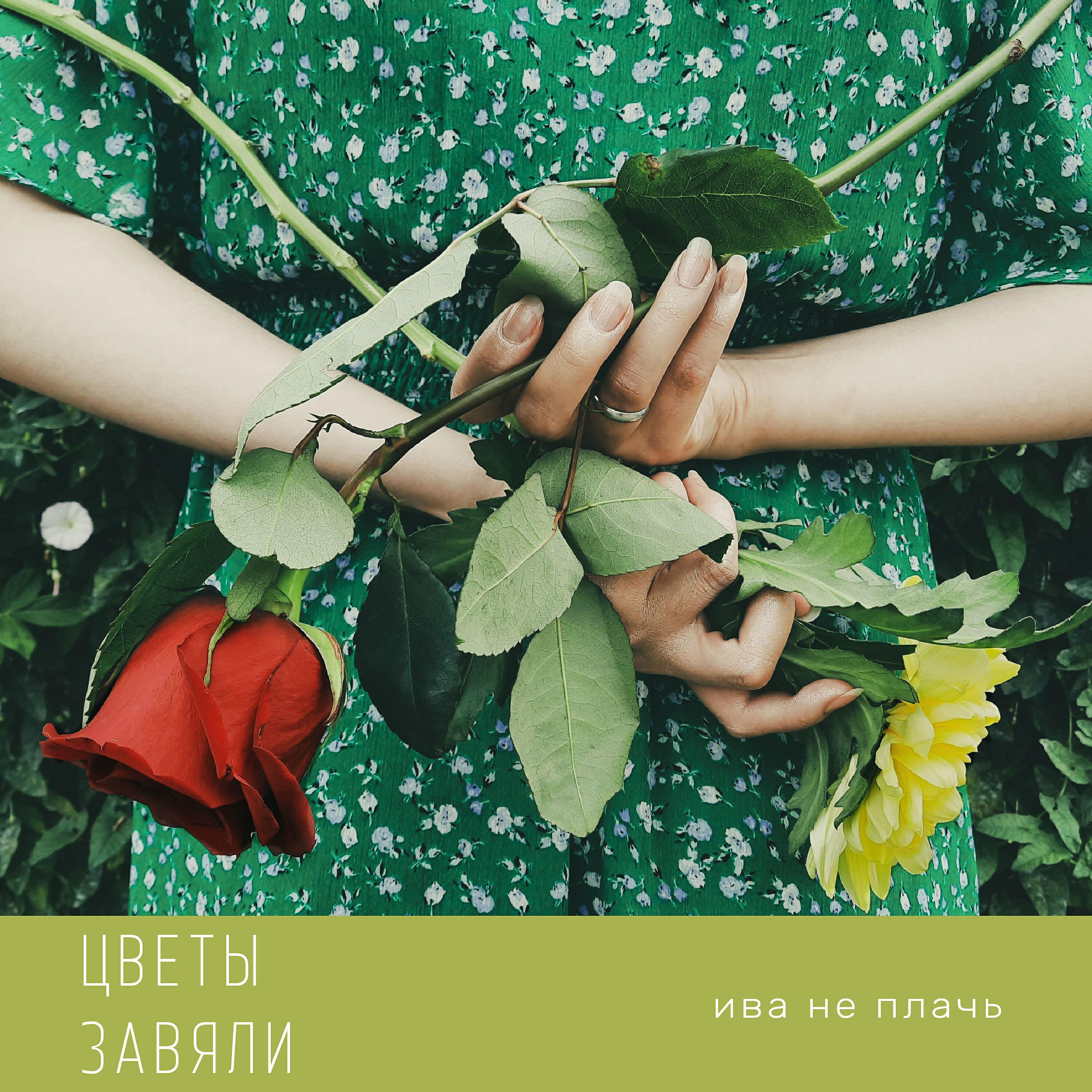 Завяли цветочки песня. Цветы завяли. Цветы завянут а картинка останется. Букет завял. Завянешь как цветы.