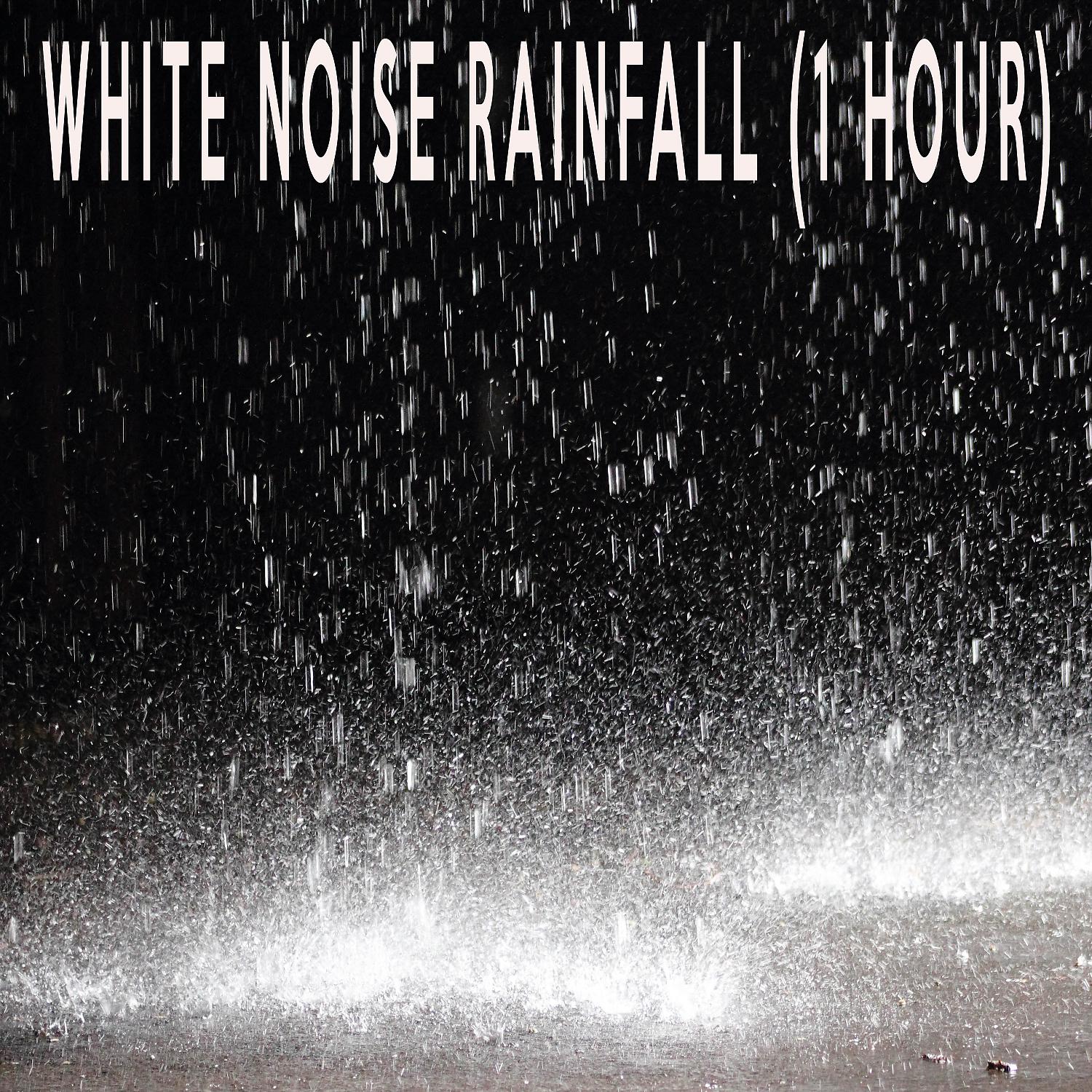 Color Noise Therapy - White Noise Rainfalll (1 Hour)