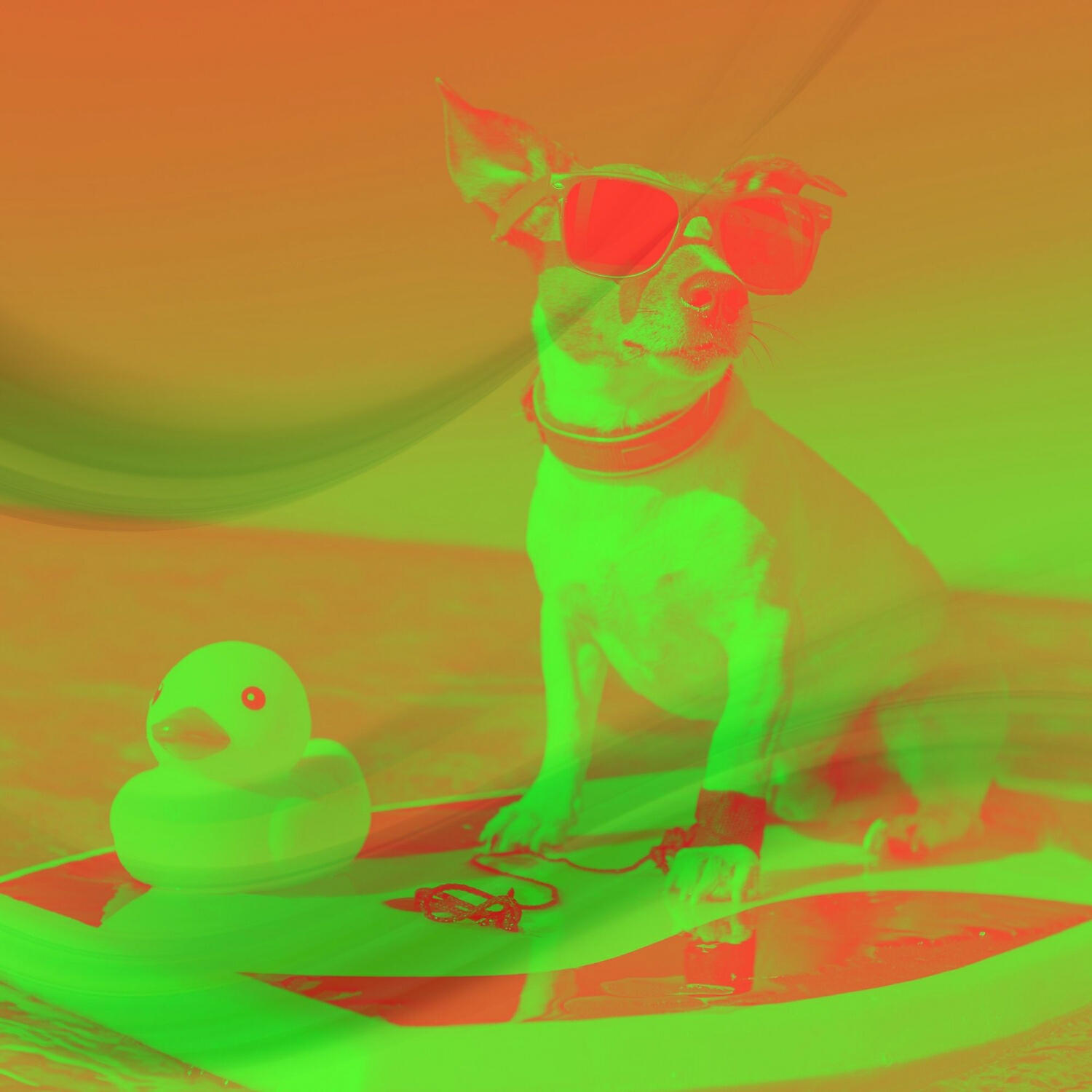 Dog Jazz Playlist - Relaxing Music for Relaxing Your Dog