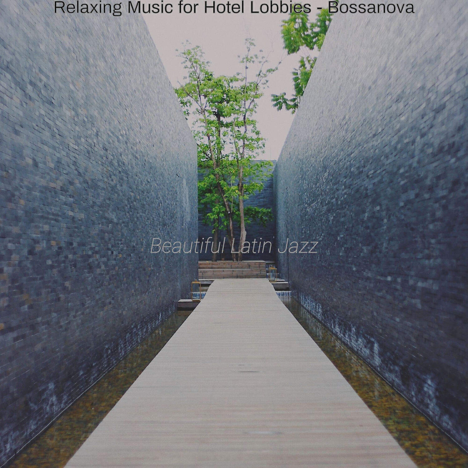 Beautiful Latin Jazz - Artistic Moods for Hotel Lobbies