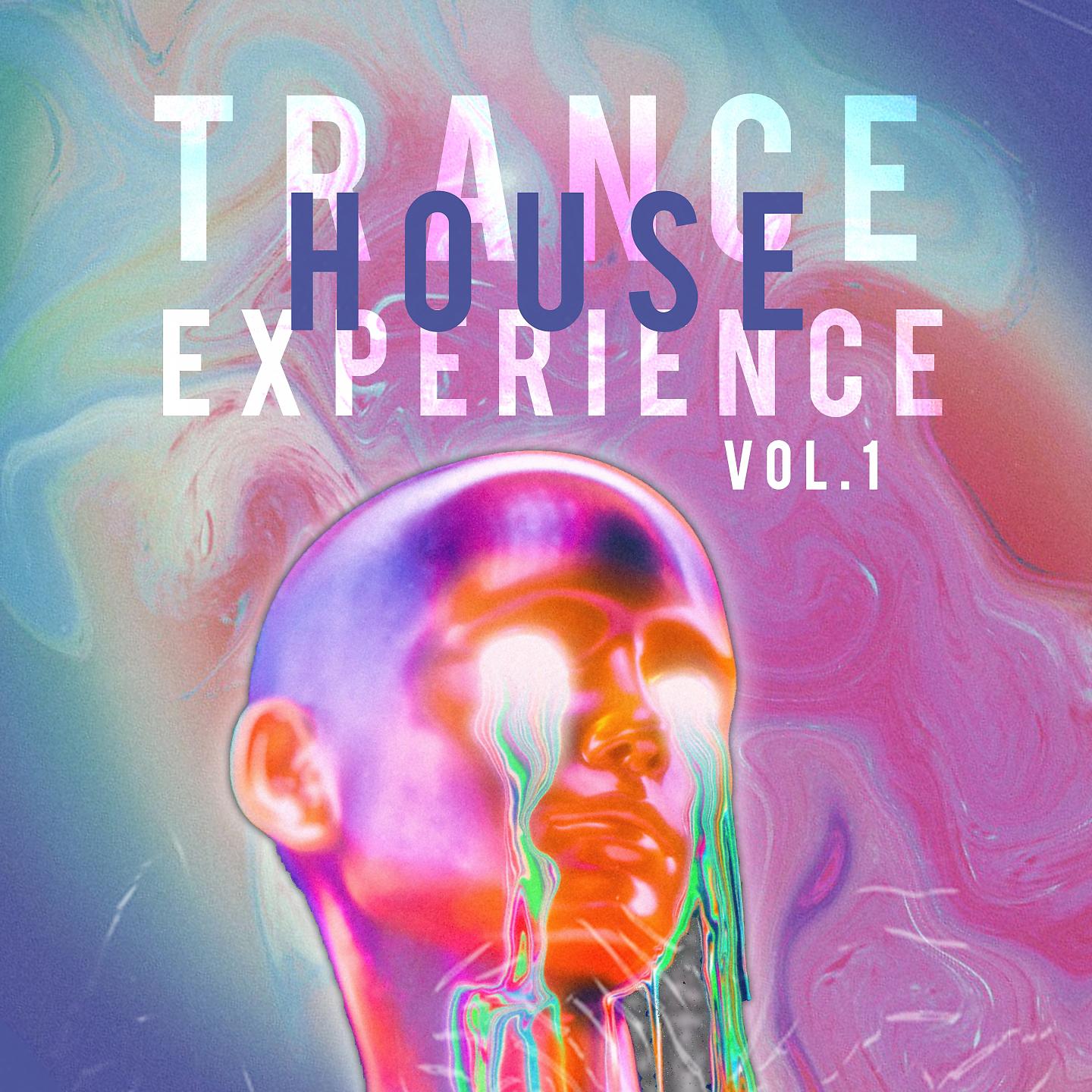 Постер альбома Trance House Experience, Vol. 1