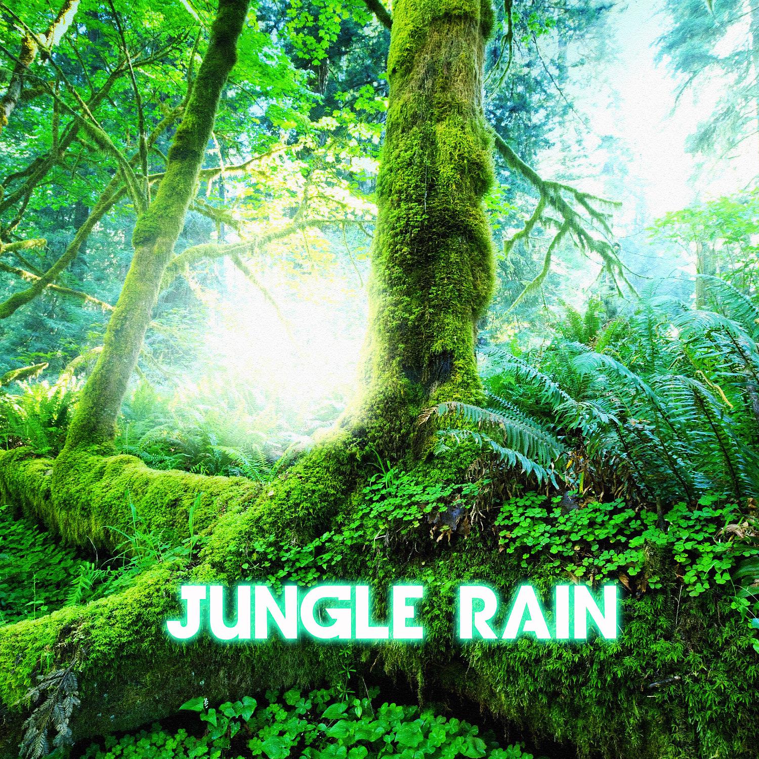 Постер альбома Jungle Rain