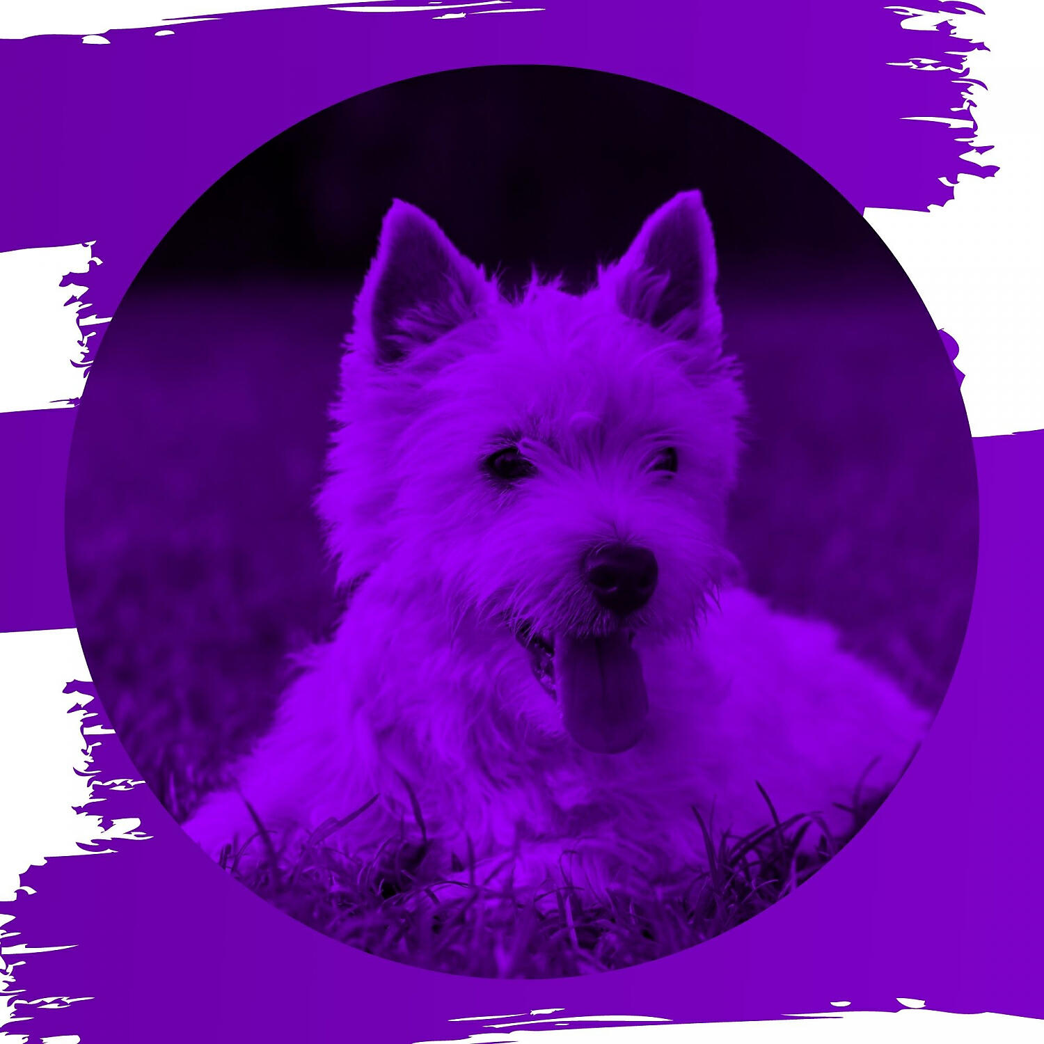 Dog Jazz Playlist - Marvellous Music for Calming Dogs
