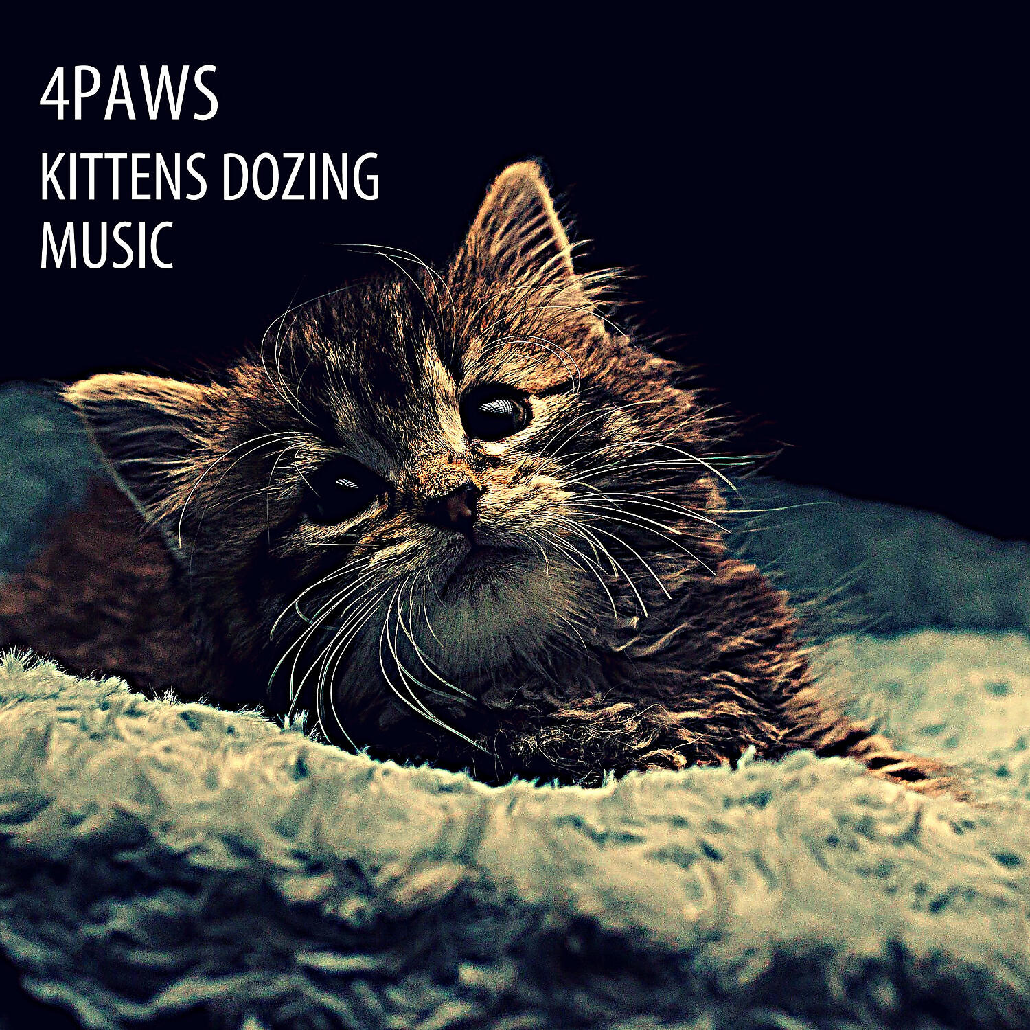 Baby Music Experience - Kittens Placid Music