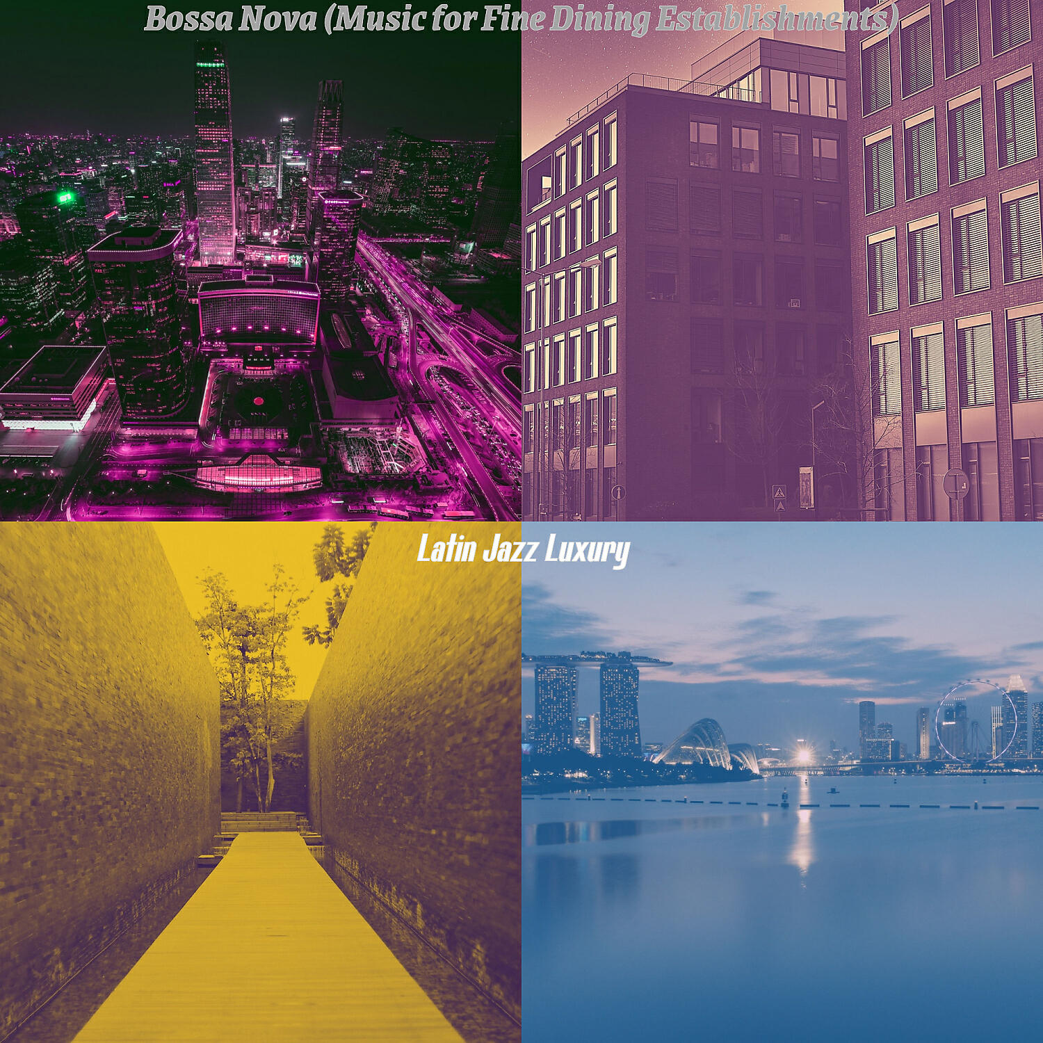 Latin Jazz Luxury - Vivacious Bossa Nova - Vibe for Romantic Dinners