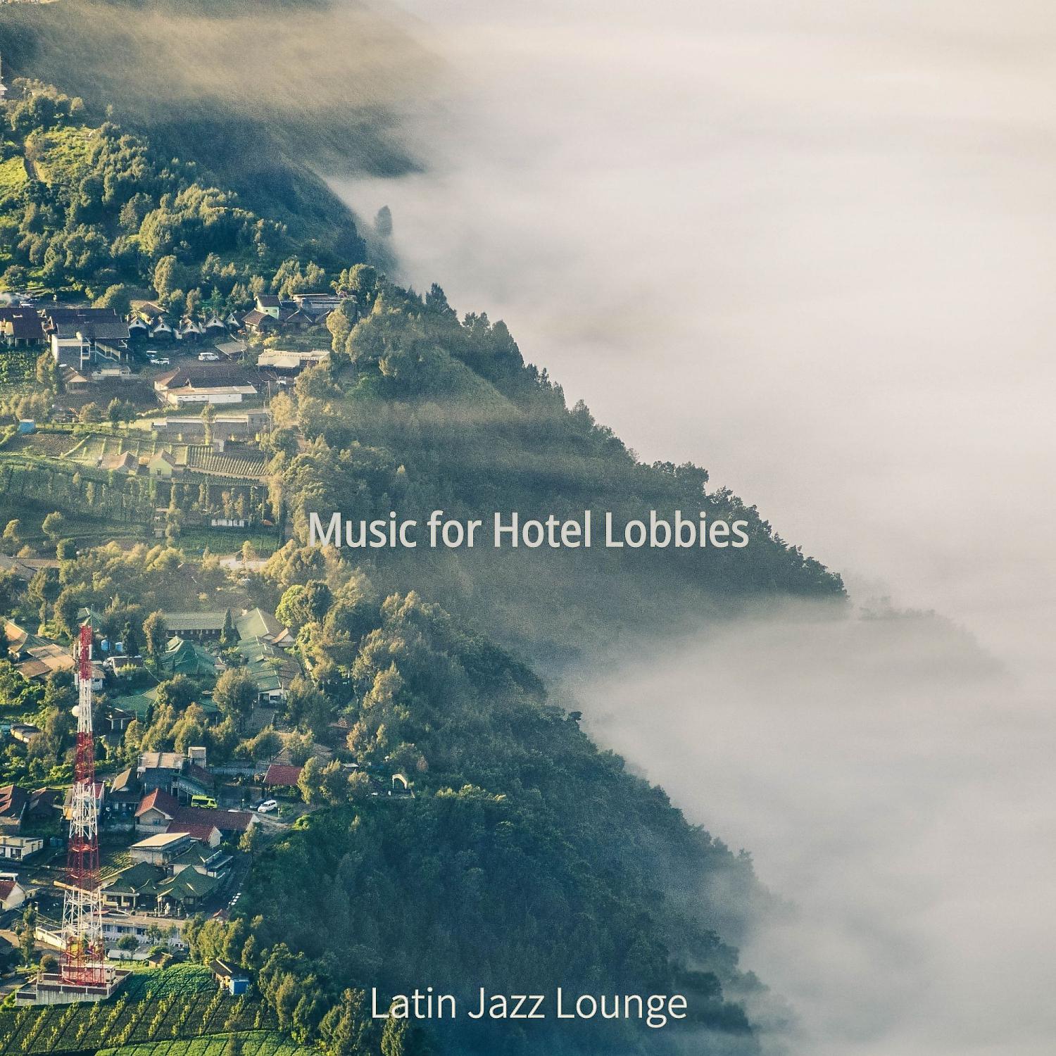 Постер альбома Music for Hotel Lobbies