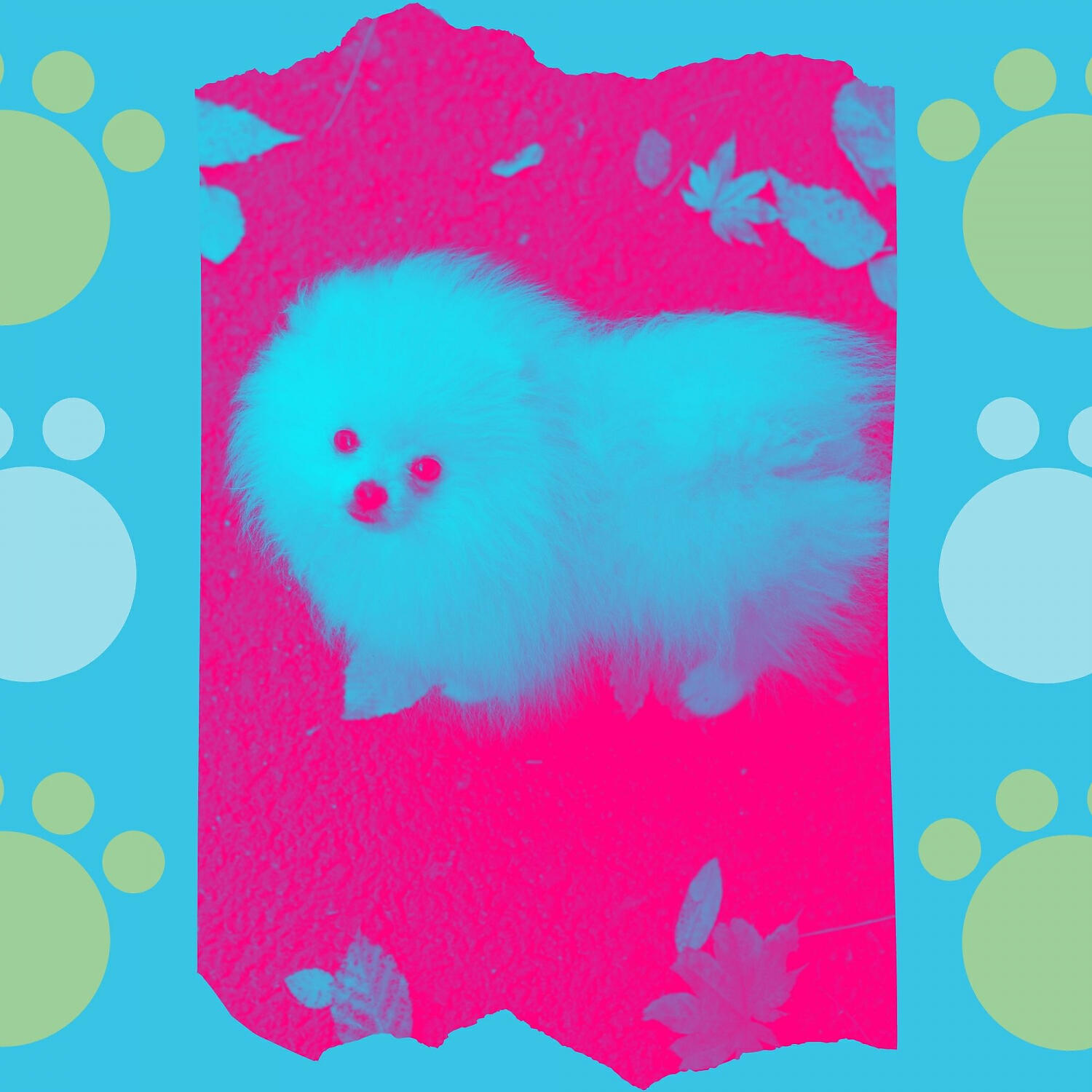 Bright Doggy Music - Amazing Music for Calming Your Dog