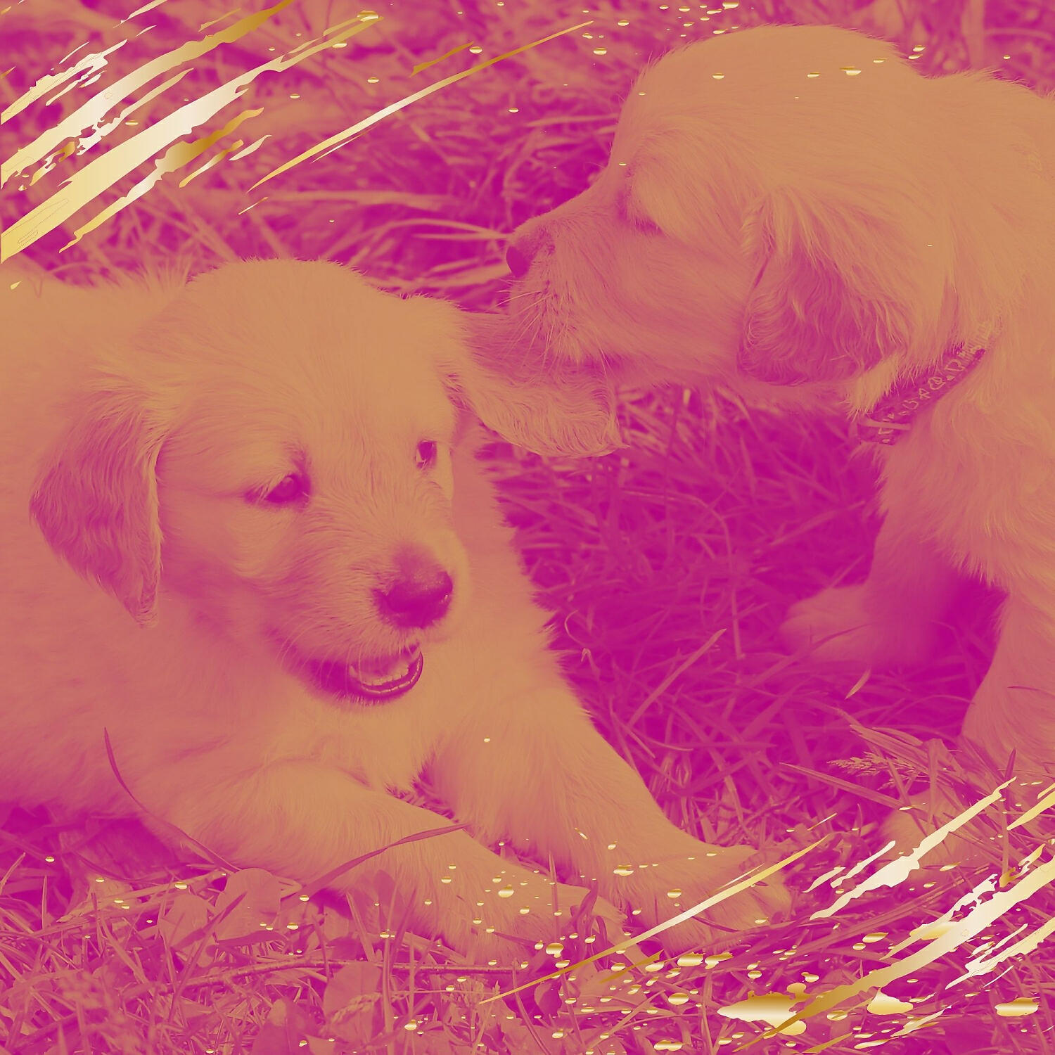 Doggy Music Ambience - Amazing Ambiance for Calming Puppies