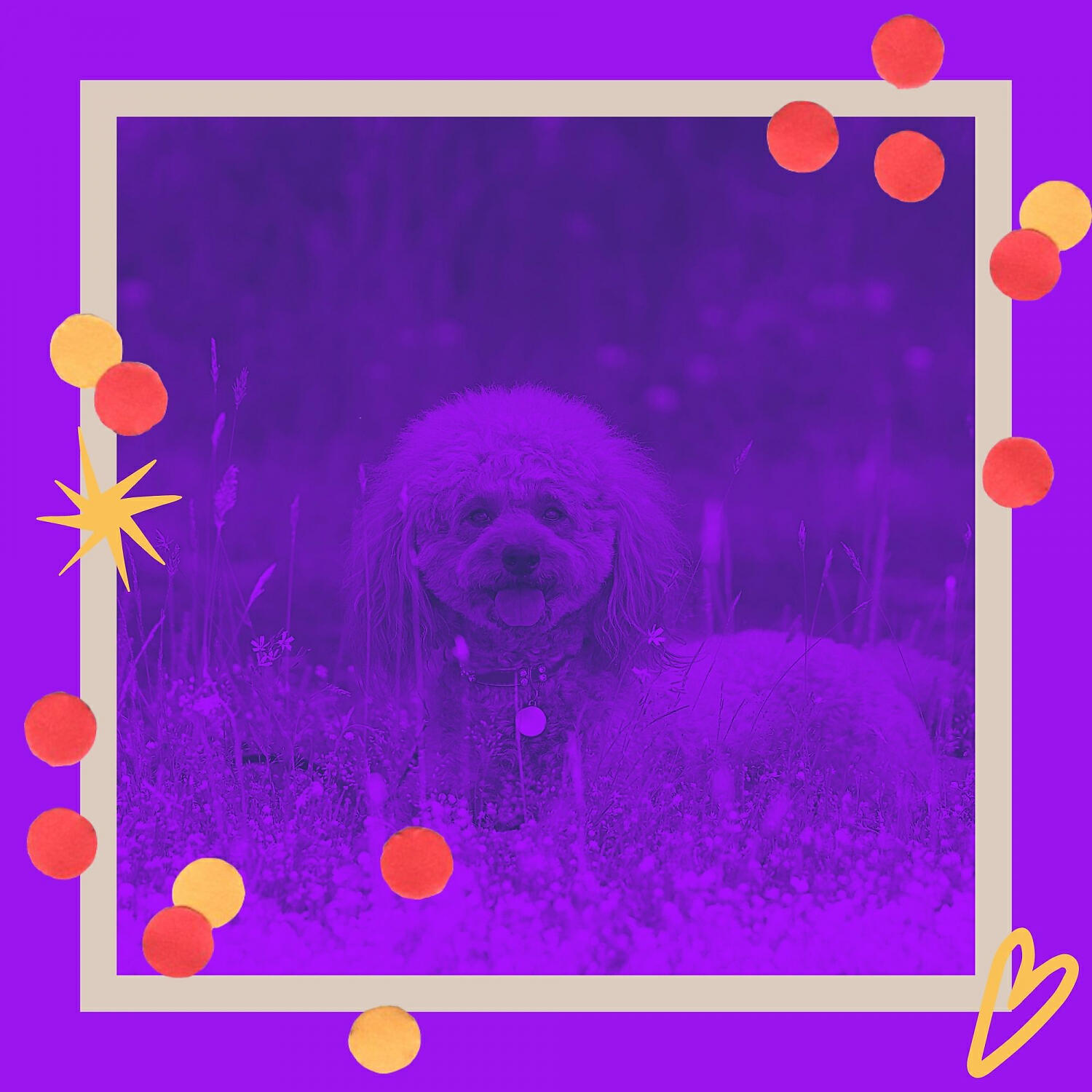 Relax My Dog Music - Groovy Doggy Stress