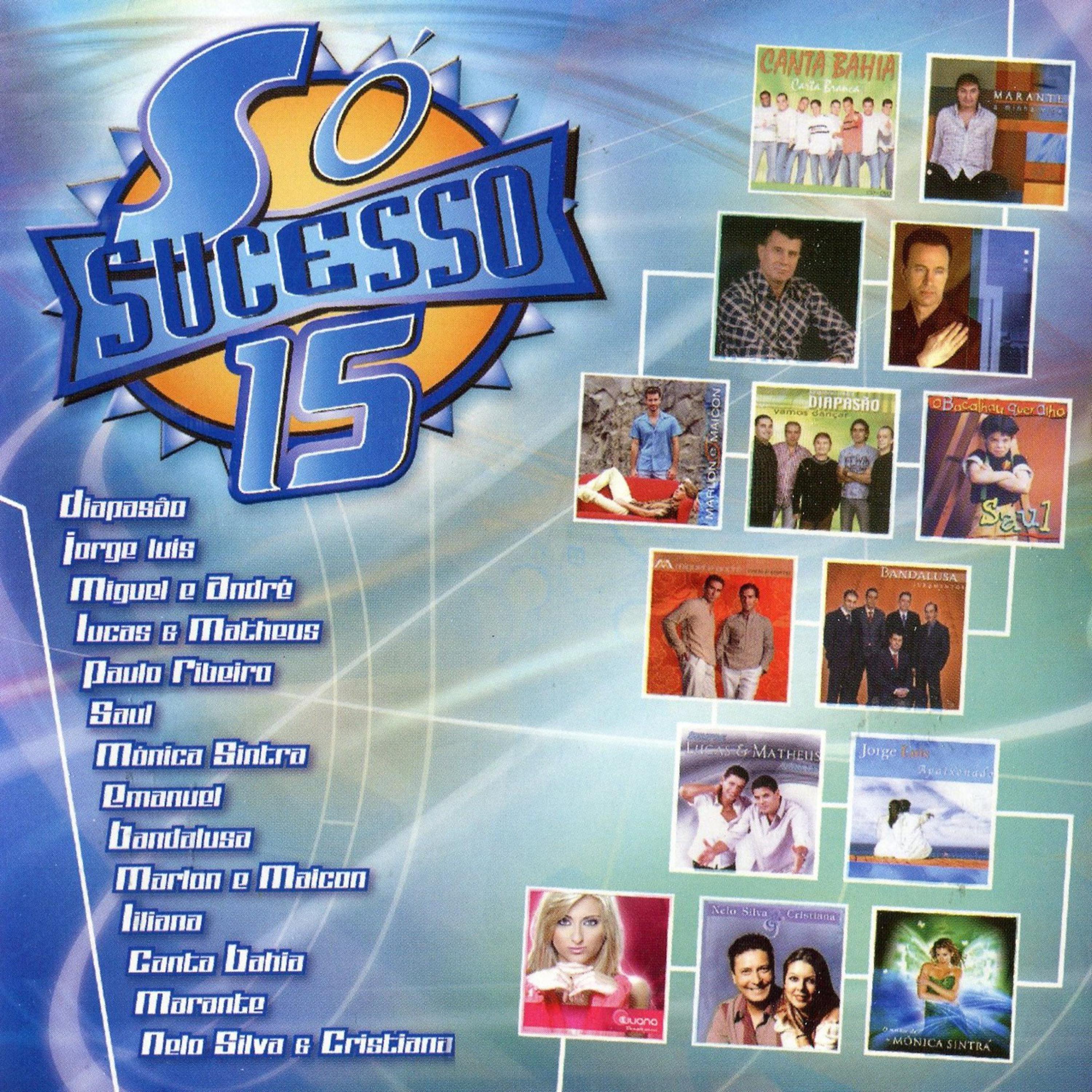 Постер альбома Só Sucesso 15