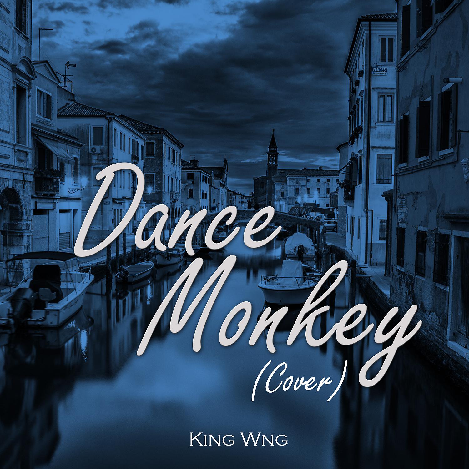 Постер альбома Dance Monkey (Cover)