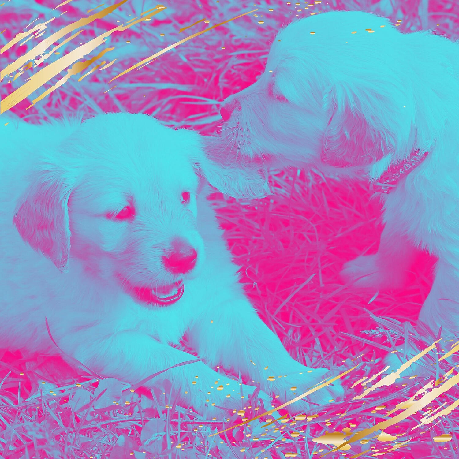 Relaxing Music for Dogs - Amazing Doggy Anxiety