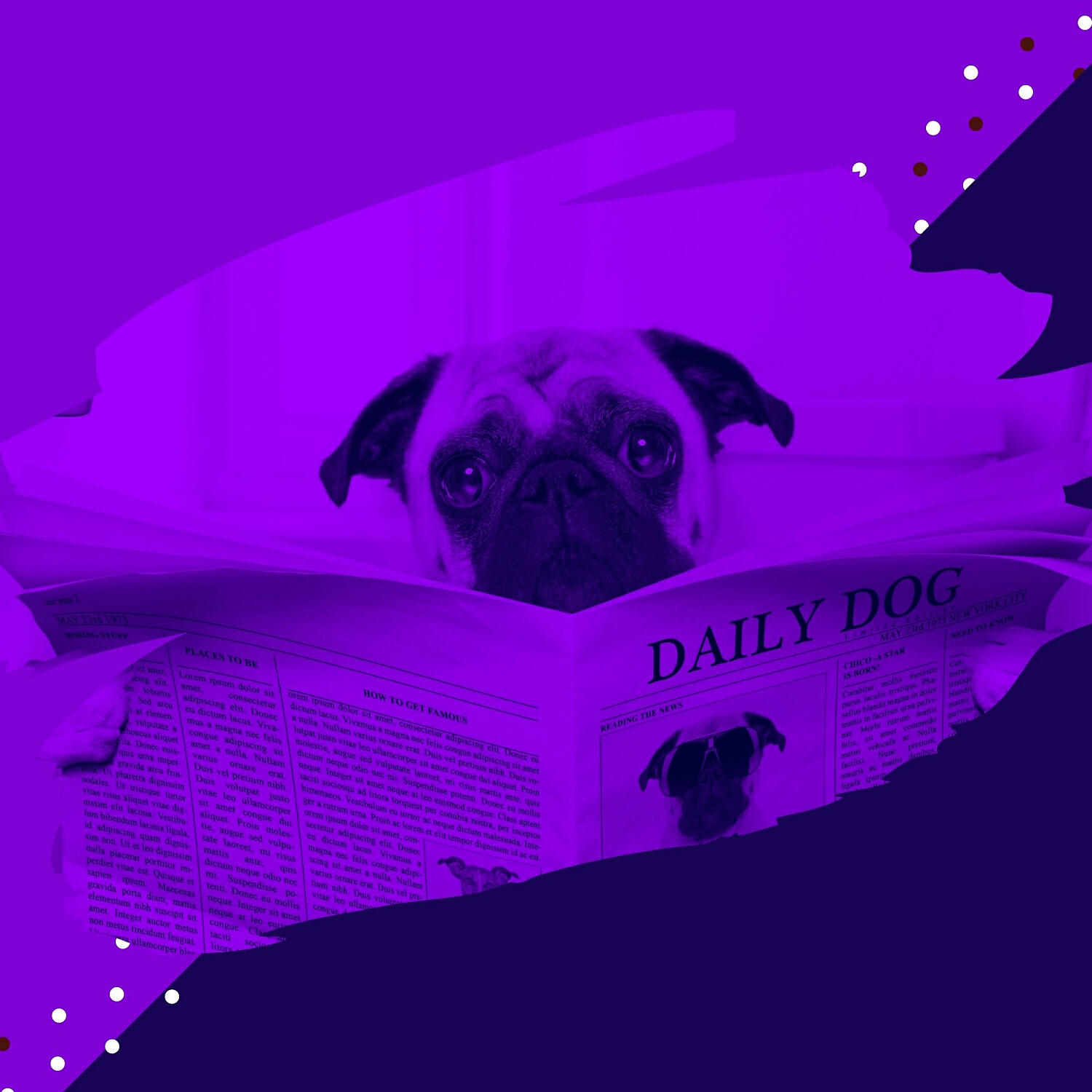 Gentle Doggy Music - Subdued Ambience for Sleeping Dogs