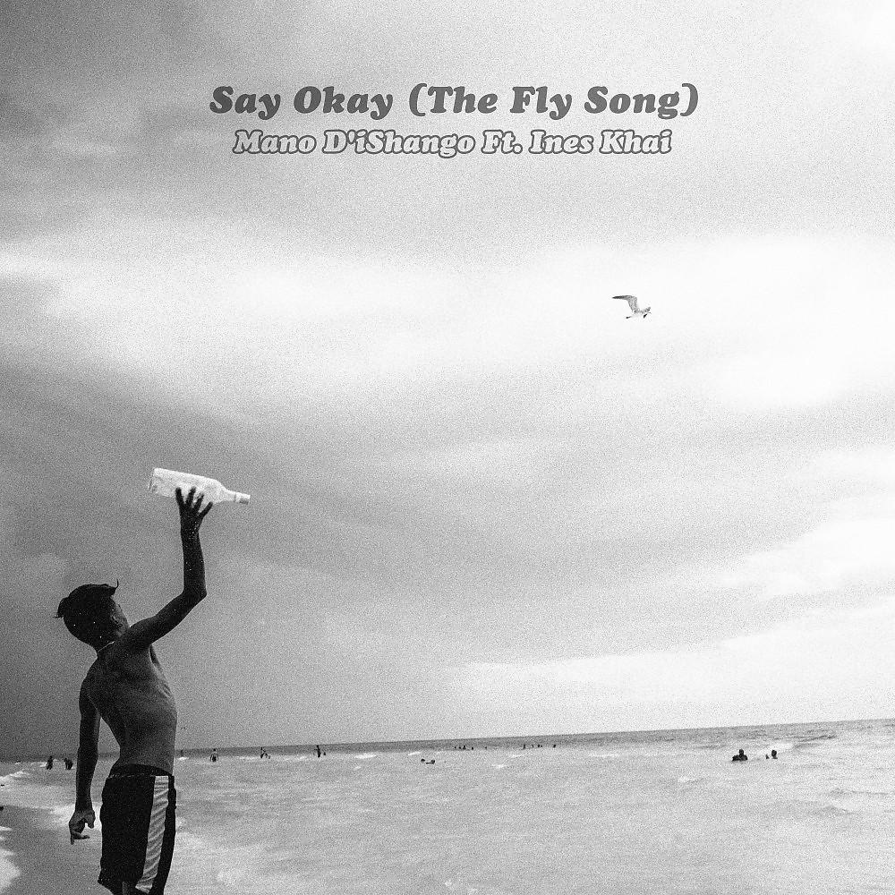 Постер альбома Say Okay (The Fly Song)