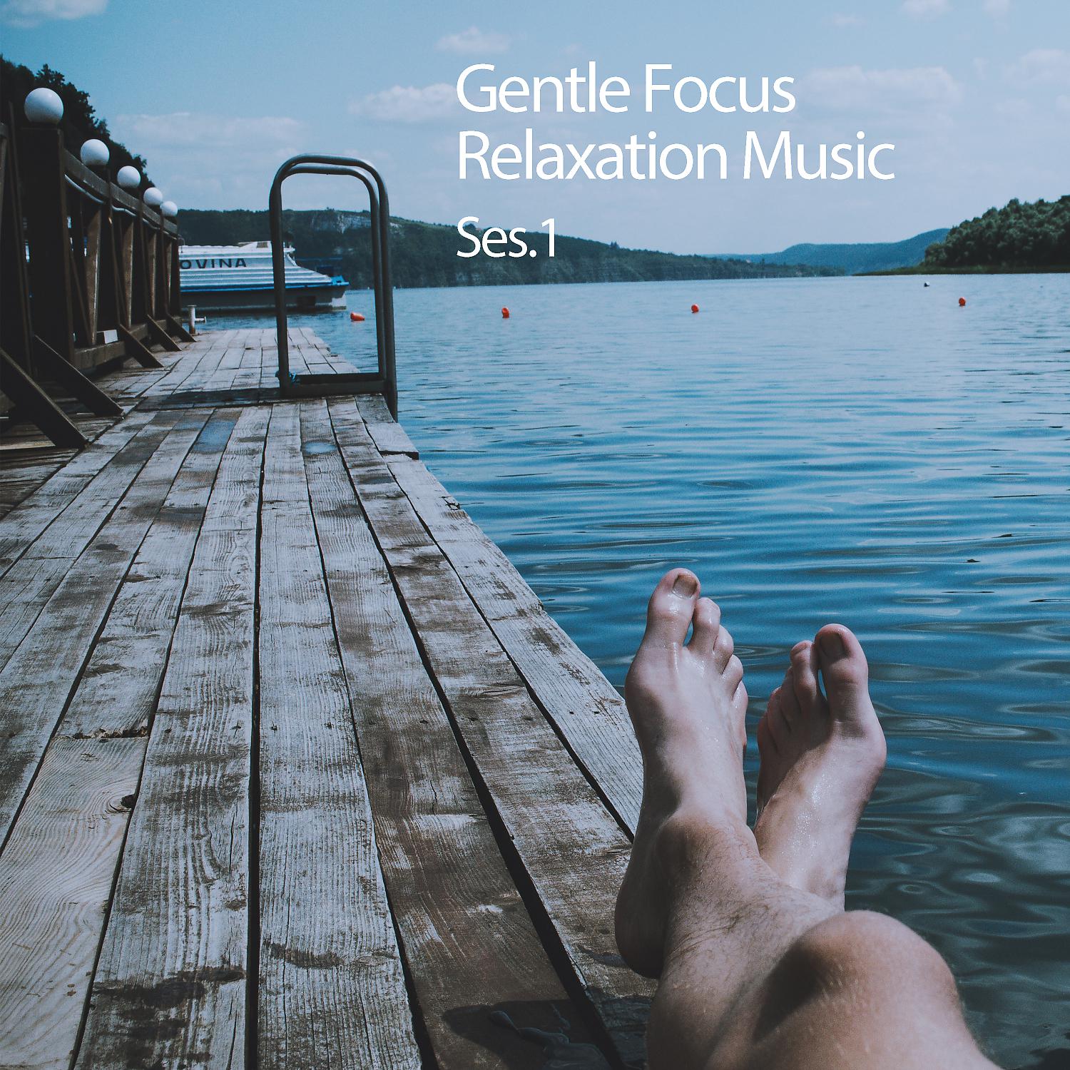 Постер альбома Gentle Focus Relaxation Music Ses. 1