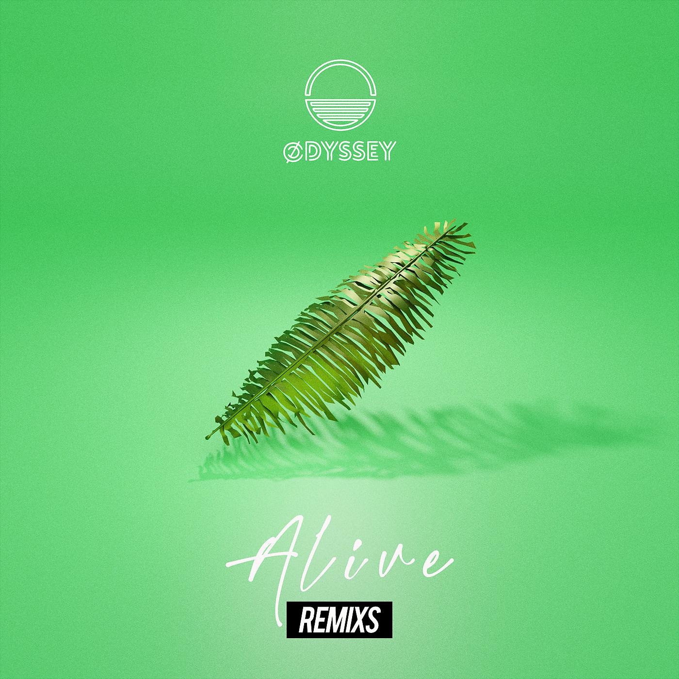 Постер альбома Alive Remixs