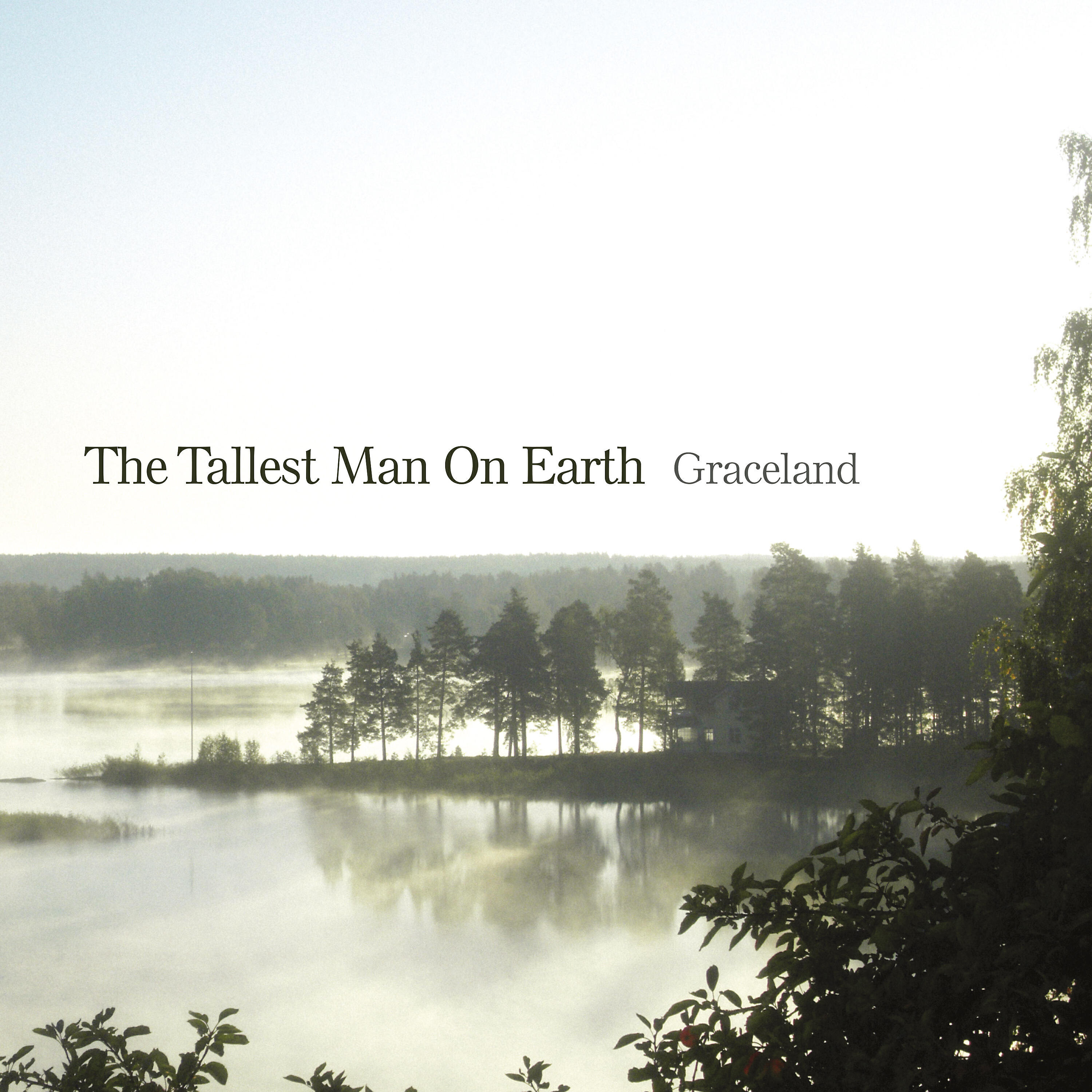 The Tallest Man On Earth - Graceland