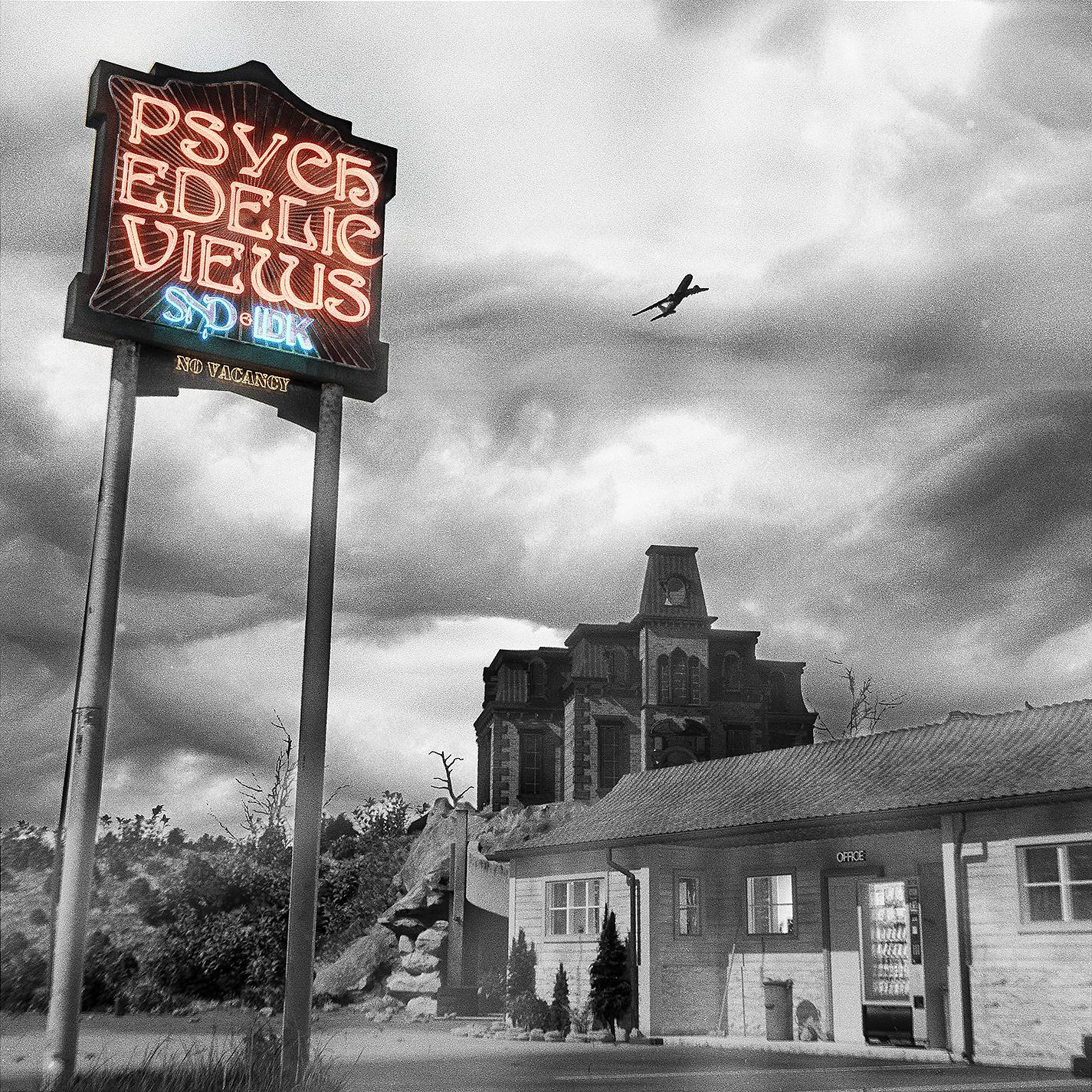 Постер альбома Psychedelic Views (feat. IDK)