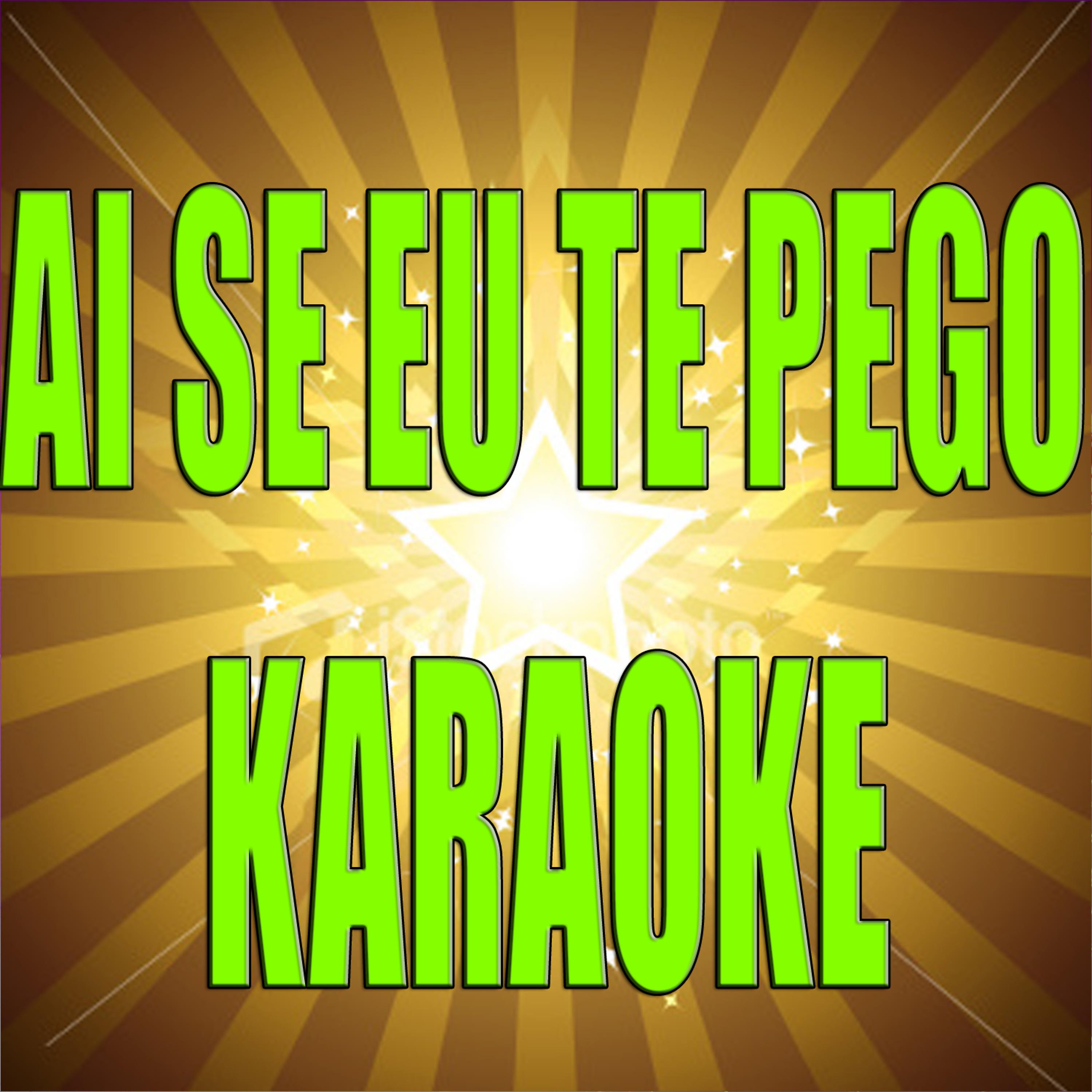 Постер альбома Ai Se Eu Te Pego (In the style of Michel Telo) (Karaoke)