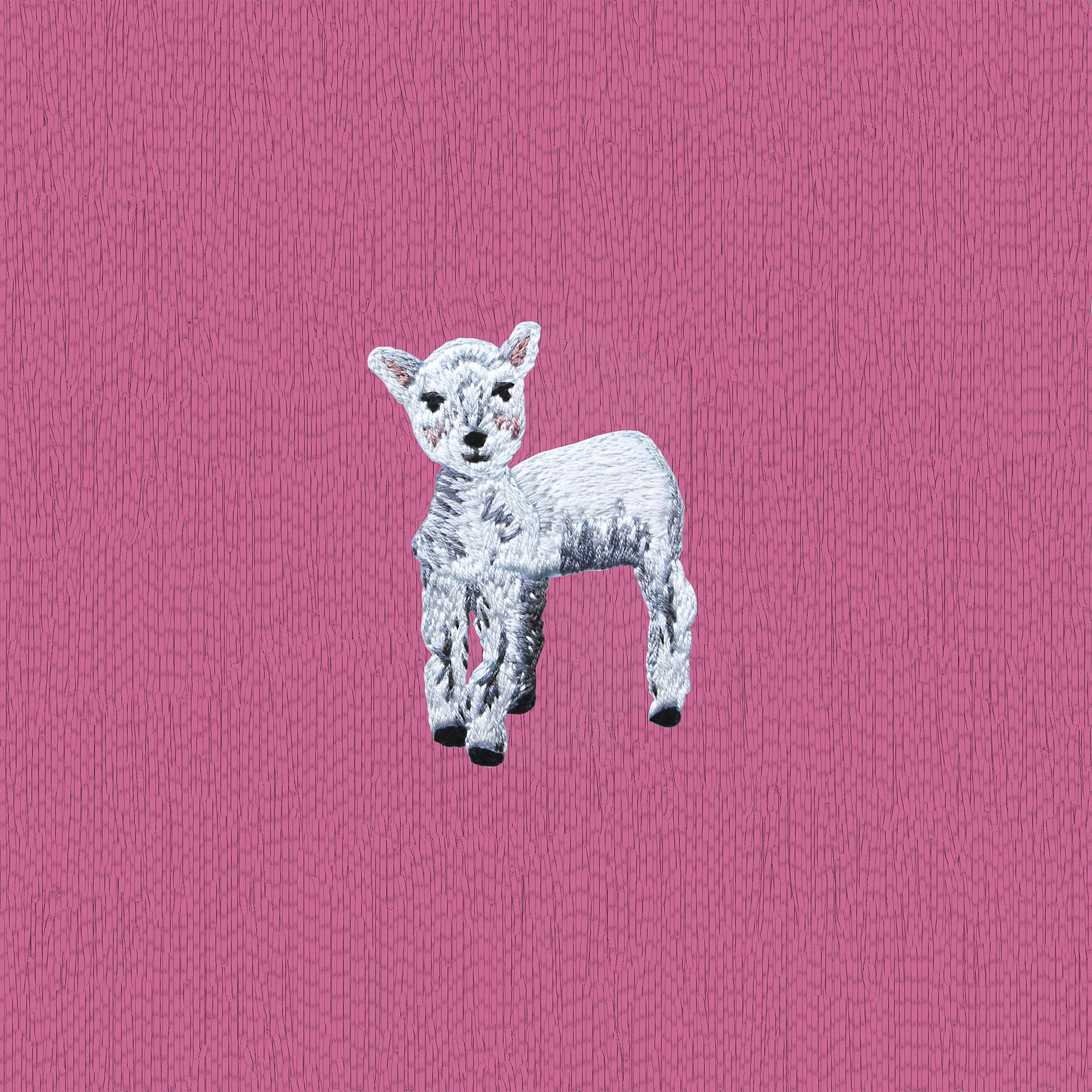 Постер альбома Sacrificial Lamb