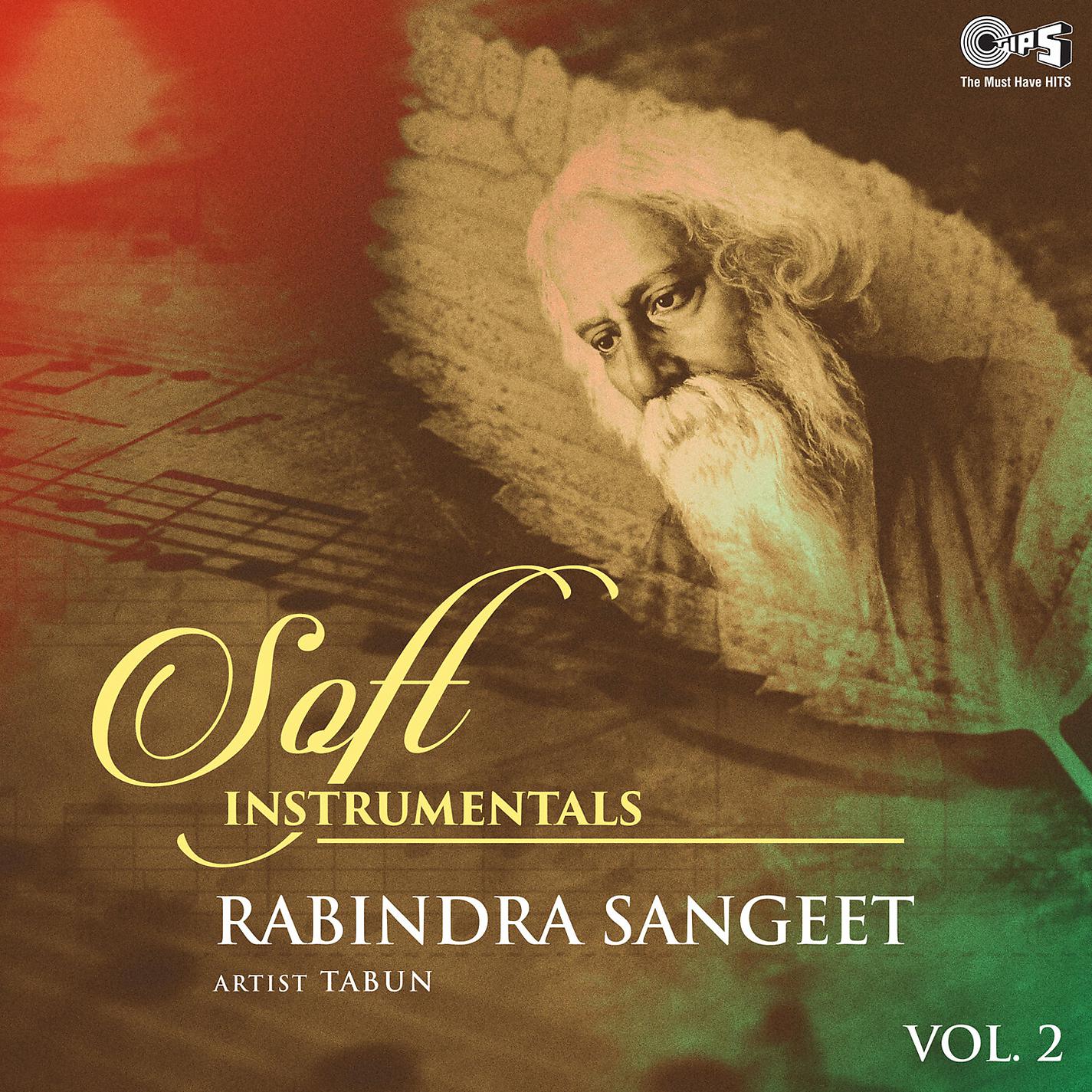 Постер альбома Soft Instrumentals: Rabindra Sangeet, Vol. 2