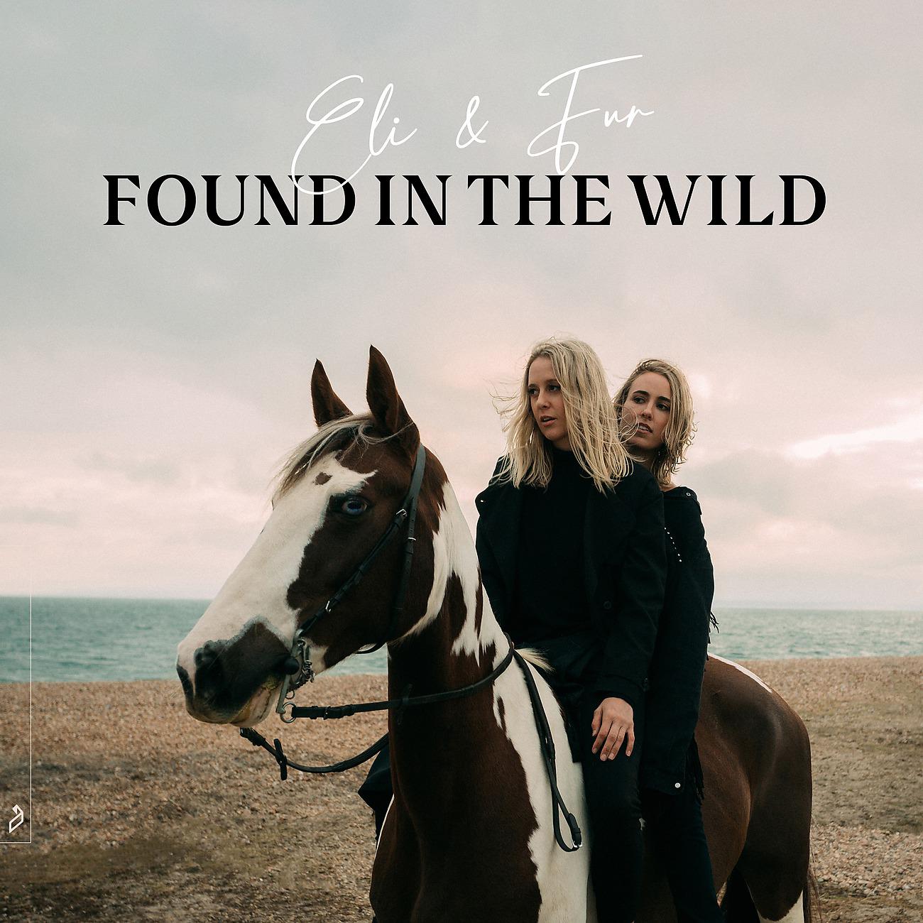 Постер альбома Found In The Wild