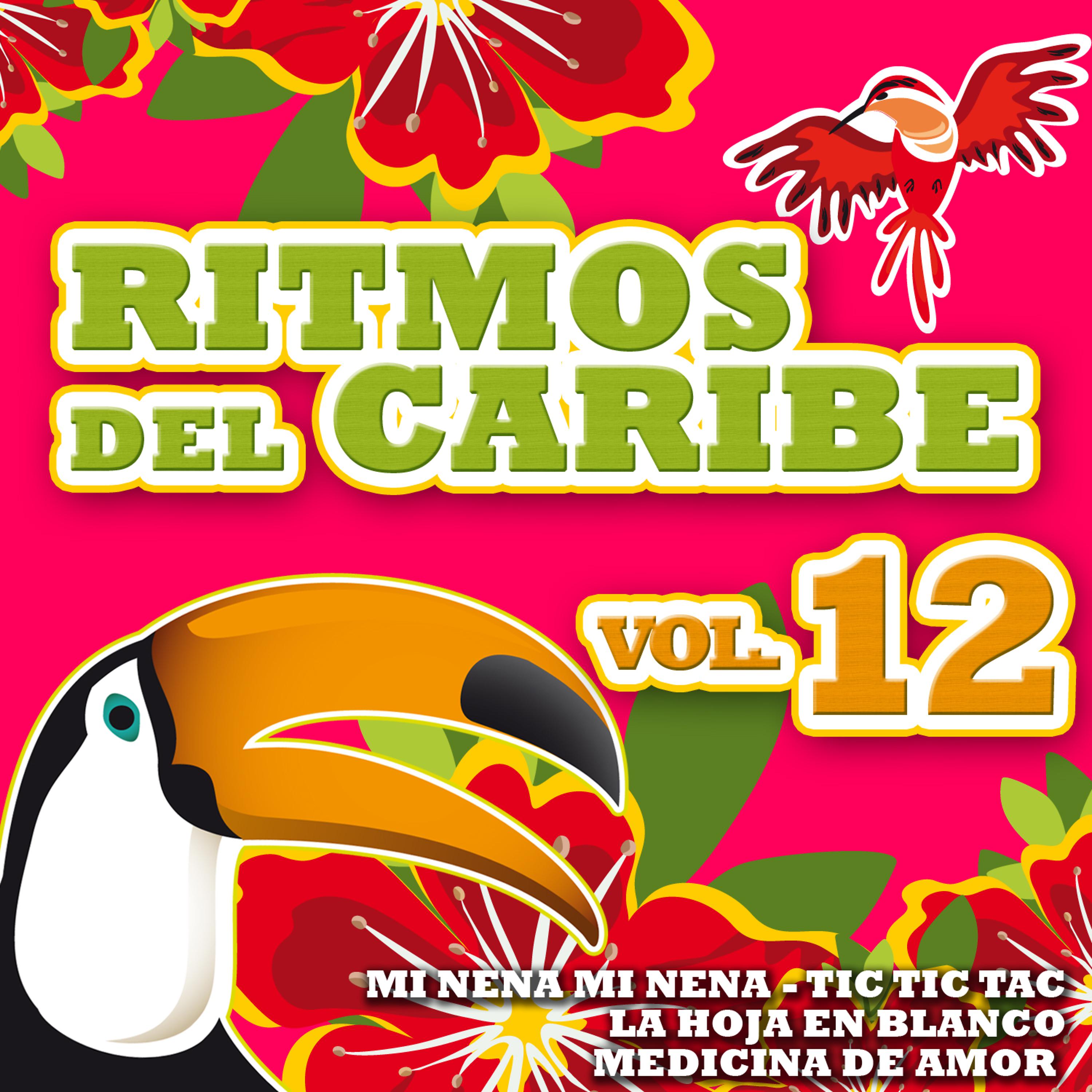 Постер альбома Ritmos del Caribe  Vol.12