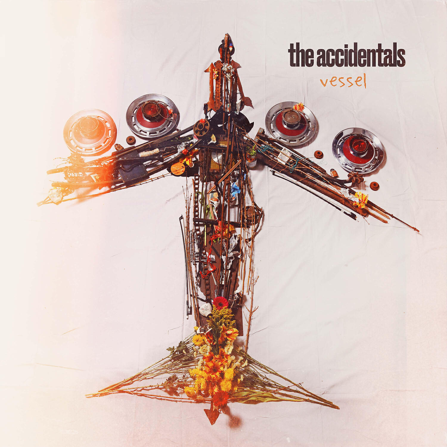 The Accidentals - Bird's Eye View
