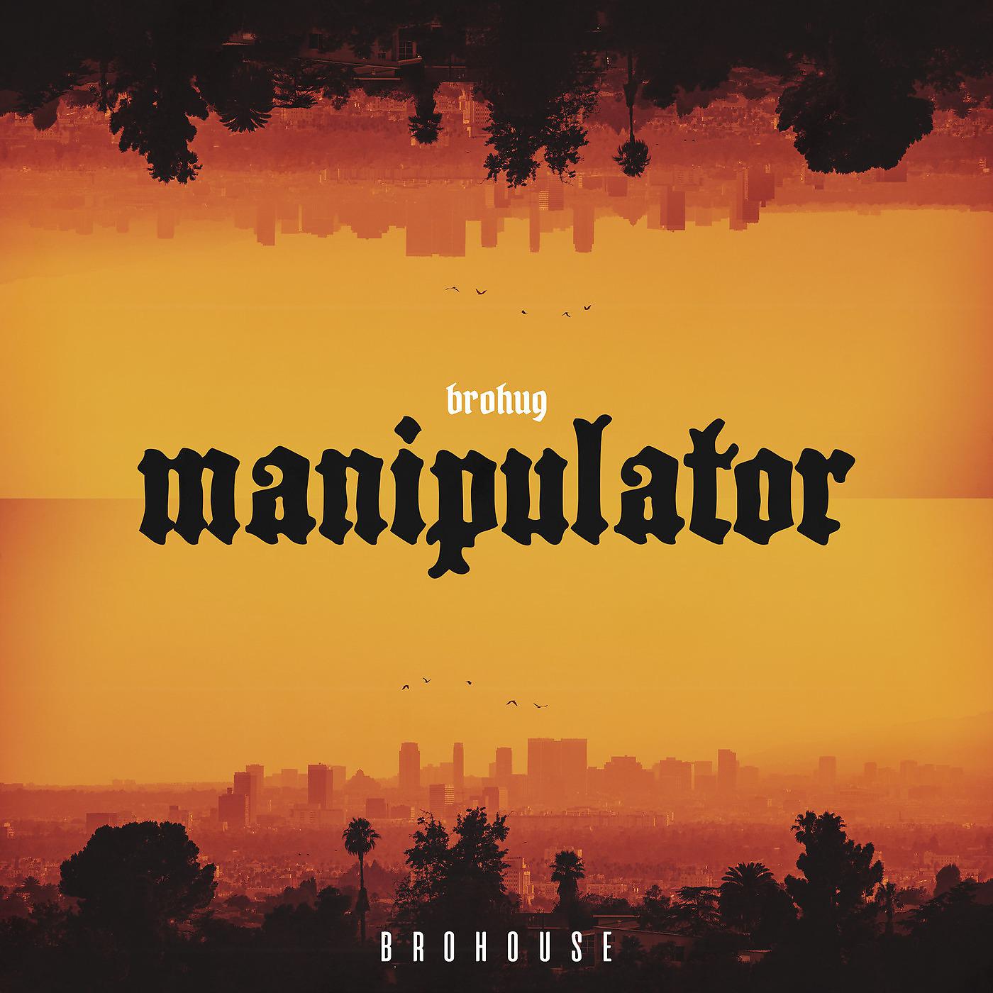 Постер альбома Manipulator