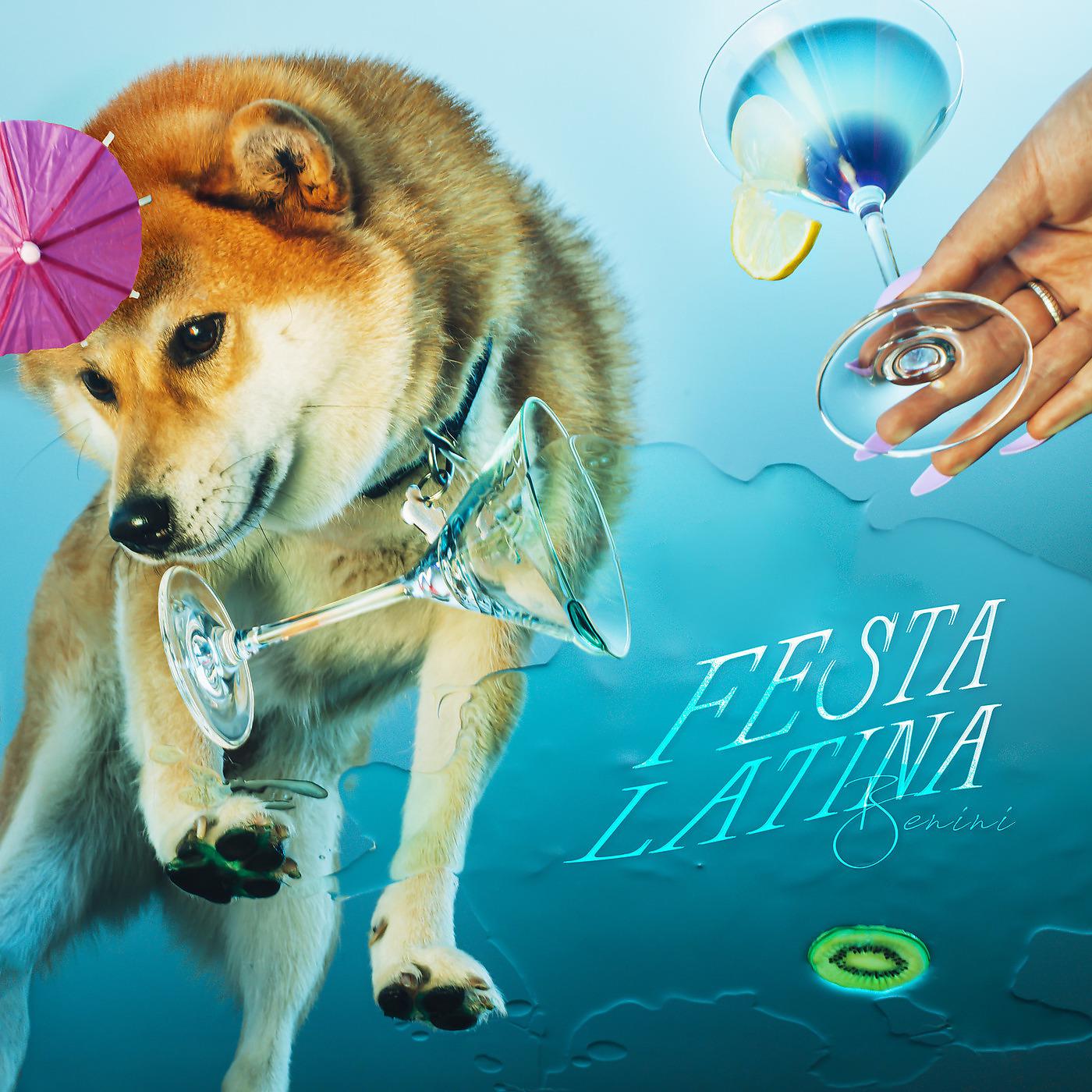 Постер альбома Festa Latina