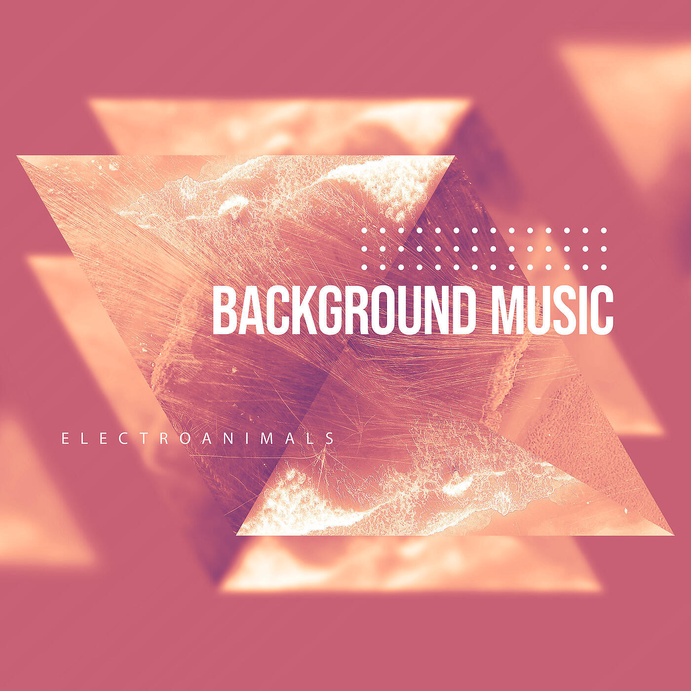 ElectroAnimals - Punk Rock Indie